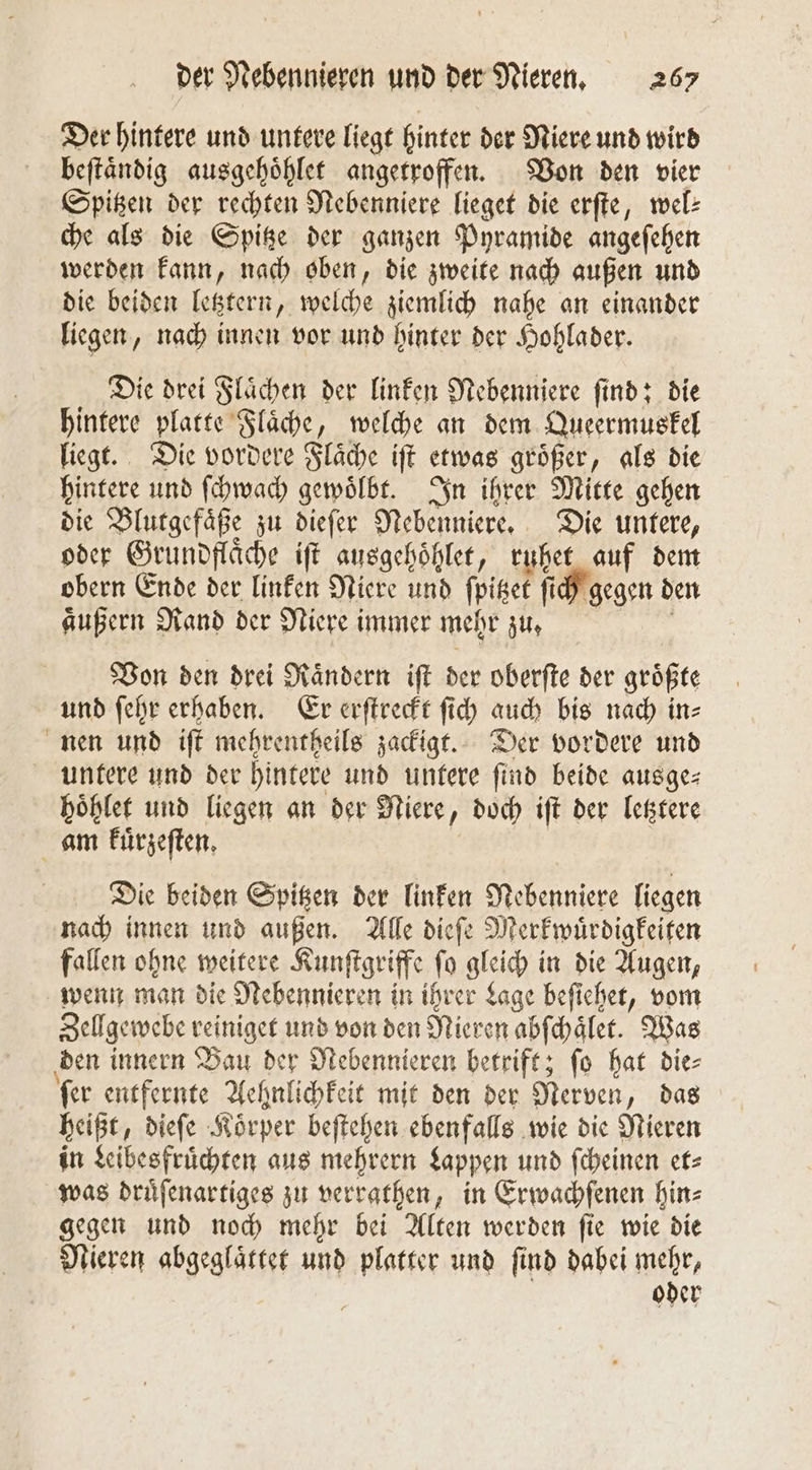 Der hintere und untere liegt hinter der Niere und wird beſtaͤndig ausgehoͤhlet angetroffen. Von den vier Spitzen der rechten Nebenniere lieget die erſte, wel: che als die Spitze der ganzen Pyramide angeſehen werden kann, nach oben, die zweite nach außen und die beiden letztern, welche ziemlich nahe an einander liegen, nach innen vor und hinter der Hohlader. Die drei Flaͤchen der linken Nebenniere ſind; die hintere platte Flaͤche, welche an dem Queermuskel liegt. Die vordere Flaͤche iſt etwas groͤßer, als die hintere und ſchwach gewoͤlbt. In ihrer Mitte gehen die Blutgefäße zu dieſer Nebenniere. Die untere, oder Grundfläche iſt ansgehöhler, ruhet auf dem obern Ende der linken Niere und ſpitzet ſich gegen den aͤußern Rand der Niere immer mehr zu. Von den drei Raͤndern iſt der oberſte der groͤßte und ſehr erhaben. Er erſtreckt ſich auch bis nach in⸗ nen und iſt mehrentheils zackigt. Der vordere und untere und der hintere und untere find beide ausges hoͤhlet und liegen an der Niere, doch iſt der letztere am kuͤrzeſten. Die beiden Spitzen der linken Nebenniere liegen nach innen und außen. Alle dieſe Merkwuͤrdigkeiten fallen ohne weitere Kunſtgriffe ſo gleich in die Augen, wenn man die Nebennieren in ihrer Lage beſiehet, vom Zellgewebe reiniget und von den Nieren abſchaͤlet. Was den innern Bau der Nebennieren betrift; ſo hat die⸗ ſer entfernte Aehnlichkeit mit den der Nerven, das heißt, dieſe Koͤrper beſtehen ebenfalls wie die Nieren in Leibesfruͤchten aus mehrern Lappen und ſcheinen et⸗ was druͤſenartiges zu verrathen, in Erwachſenen hin⸗ gegen und noch mehr bei Alten werden ſie wie die Nieren abgeglaͤttet und platter und ſind dabei mehr, oder
