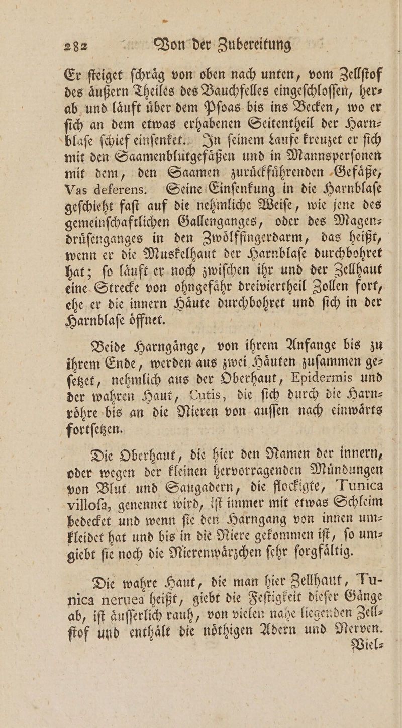 Er ſteiget ſchraͤg von oben nach unten, vom Zellſtof des aͤußern Theiles des Bauchfelles eingeſchloſſen, her⸗ ab und laͤuft uͤber dem Pſoas bis ins Becken, wo er ſich an dem etwas erhabenen Seitentheil der Harn: blaſe ſchief einſenket. In feinem Laufe kreuzet er ſich mit den Saamenblutgefaͤßen und in Mannsperſonen mit dem, den Saamen zuruͤckfuͤhrenden ‚Gefäße, Vas deferens. Seine Einſenkung in die Harnblafe geſchieht faſt auf die nehmliche Weiſe, wie jene des gemeinſchaftlichen Gallenganges, oder des Magen— druͤſenganges in den Zwoͤlffingerdarm, das heißt, wenn er die Muskelhaut der Harnblaſe durchbohret hat; ſo laͤuft er noch zwiſchen ihr und der Zellhaut eine Strecke von ohngefaͤhr dreiviertheil Zollen fort, ehe er die innern Haͤute durchbohret und ſich in der Harnblaſe oͤffnet. a Beide Harngaͤnge, von ihrem Anfange bis zu ihrem Ende, werden aus zwei Haͤuten zufammen ges ſetzet, nehmlich aus der Oberhaut, Epidermis und der wahren Haut, Cutis, die ſich durch die Harn⸗ roͤhre bis an die Nieren von auſſen nach einwaͤrts fortſetzen. | Die Oberhaut, die hier den Namen der innern, oder wegen der kleinen hervorragenden Muͤndungen von Blut und Saugadern, die flockigte, Tunica villoſa, genennet wird, iſt immer mit etwas Schleim bedecket und wenn ſie den Harngang von innen um⸗ kleidet hat und bis in die Niere gekommen iſt, ſo um⸗ giebt ſie noch die Nierenwaͤrzchen ſehr ſorgfaͤltig. Die wahre Haut, die man hier Zellhaut, Tu- nica neruea heißt, giebt die Feſtigkeit dieſer Gaͤnge ab, iſt aͤuſſerlich rauh, von vielen nahe liegenden Zell⸗ ſtof und enthaͤlt die noͤthigen Adern und e Viel⸗