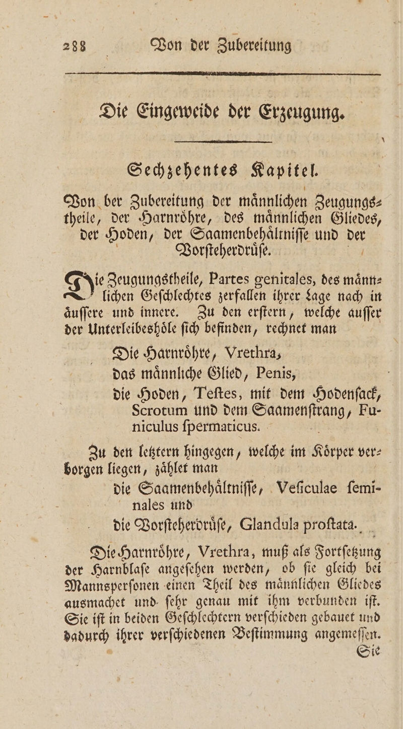 Die Eingeweide der Erzeugung. Sechzehentes Kapitel. Von ber Zubereitung der männlichen Zeugungs⸗ theile, der Harnroͤhre, des maͤnnlichen Gliedes, der Hoden, der Saamenbehaͤltniſſe und der Vorſteherdruͤſe. Die Zeugungstheile, Partes genitales, des maͤnn⸗ lichen Geſchlechtes zerfallen ihrer Lage nach in aͤuſſere und innere. Zu den erſtern, welche auſſer der Unterleibeshoͤle ſich befinden, rechnet man Die Harnroͤhre, Vrethra, das maͤnnliche Glied, Penis, die Hoden, Teſtes, mit dem Hodenſack, Scrotum und dem . Fu- niculus ſpermaticus. Zu den letztern hingegen, welche im Keel ver⸗ borgen liegen, zaͤhlet man die Saamenbehaͤltniſſe, Veſiculae ſemi- nales und die Vorſteherdruͤſe, Glandula proſtata. Die Harnroͤhre, Vrethra, muß als Fortſetzung der Harnblaſe angeſehen werden, ob ſie gleich bei Mannsperſonen einen Theil des maͤnnlichen Gliedes ausmachet und ſehr genau mit ihm verbunden 1 Sie iſt in beiden Geſchlechtern verſchieden gebauet und dadurch ihrer verſchiedenen Beſtimmung angemeſſen. Sie