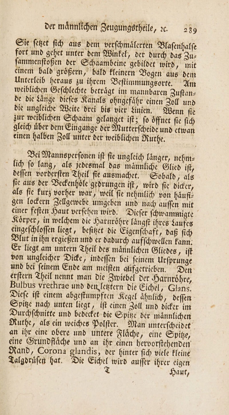 Sie ſetzet ſich aus dem verſchmaͤlerten Blaſenhalſe fort und gehet unter dem Winkel, der durch das Zu⸗ ſammenſtoßen der Schaambeine gebildet wird y mit einem bald groͤßern, bald kleinern Bogen aus dem Unterleib heraus zu ihrem Beſtimmungsorte. Am weiblichen Geſchlechte betraͤgt im mannbaren Zuſtan⸗ de die Lange dieſes Kanals ohngefaͤhr einen Zoll und die ungleiche Weite drei bis vier Linien. Wenn ſie zur weiblichen Schaam gelanget iſt; fo oͤffnet fie ſich gleich uͤber dem Eingange der Mutterſcheide und etwan einen halben Zoll unter der weiblichen Ruthe. Bei Mannsperſonen iſt fie ungleich laͤnger, nehm⸗ lich ſo lang, als jedesmal das maͤnnliche Glied iſt, deſſen vorderſten Theil ſie ausmachet. Sobald „ als ſie aus der Beckenhoͤle gedrungen iſt ‚ wird fie dicker, als fie kurz vorher war, weil fie nehmlich von haͤufi⸗ gen lockern Zellgewebe umgeben und nach auſſen mit einer feſten Haut verſehen wird. Dieſer ſchwammigte Körper, in welchem die Harnröhre laͤngſt ihres Laufes eingeſchloſſen liegt, beſitzet die Eigenſchaft, daß ſich Blut in ihn ergießen und er dadurch aufſchwellen kann. Er liegt am untern Theil des maͤnnlichen Gliedes „iſt von ungleicher Dicke, indeſſen bei ſeinem Urſprunge und bei ſeinem Ende am meiſten aüfgetrieben. Den erſtern Theil nennt man die Zwiebel der Harnröhre, Bulbus vrechrae und den letztern die Eichel, Glans. Dieſe iſt einem abgeſtumpften Kegel aͤhnlich, deſſen Spitze nach unten liegt, iſt einen Zoll und dicker im Durchſchnitte und bedecket die Spitze der maͤnnlichen Ruthe, als ein weiches Polſter. Man unterſcheidet an ihr eine obere und untere Flaͤche, eine Spitze, eine Grundflaͤche und an ihr einen hervorſtehenden Rand, Corona glandis, der hinter ſich viele kleine Talgdruͤſen hat. Die Eichel wird auſſer ihrer eigen T Haut,