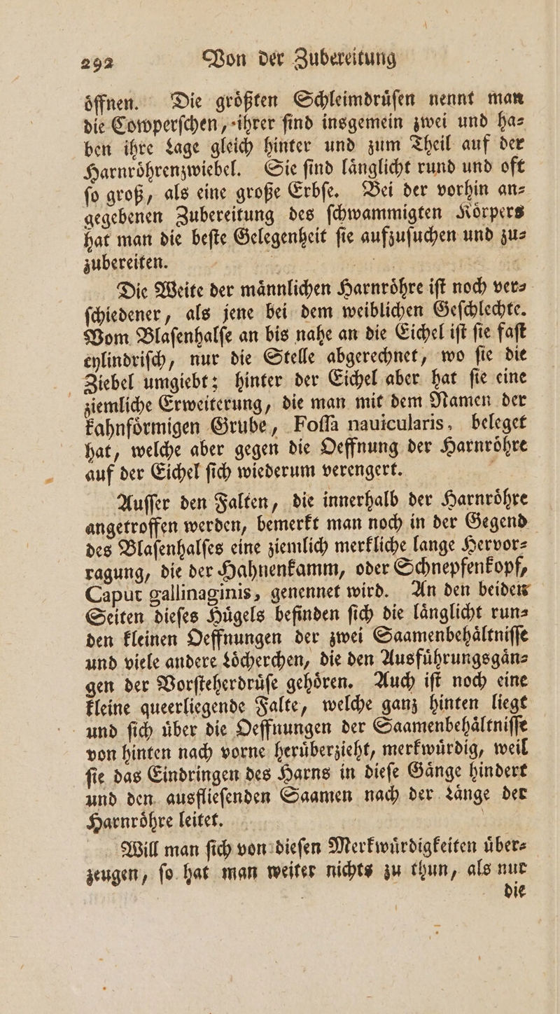 öffnen. Die größten Schleimdruͤſen nennt man die Cowperſchen, ihrer ſind insgemein zwei und ha⸗ ben ihre Lage gleich hinter und zum Theil auf der Harnroͤhrenzwiebel. Sie ſind laͤnglicht rund und oft ſo groß, als eine große Erbſe. Bei der vorhin an⸗ gegebenen Zubereitung des ſchwammigten Koͤrpers hat man die beſte Gelegenheit ſie aufzuſuchen und zu⸗ zubereiten. j FR 85 Die Weite der männlichen Harnroͤhre iſt noch vers ſchiedener, als jene bei dem weiblichen Geſchlechte. Vom Blaſenhalſe an bis nahe an die Eichel iſt ſie faſt cylindriſch, nur die Stelle abgerechnet, wo ſie die Ziebel umgiebt; hinter der Eichel aber hat ſie eine ziemliche Erweiterung, die man mit dem Namen der kahnfoͤrmigen Grube, Foſſa nauicularis, beleget hat, welche aber gegen die Oeffnung der Harnroͤhre auf der Eichel ſich wiederum verengert. | Auſſer den Falten, die innerhalb der Harnröhre angetroffen werden, bemerkt man noch in der Gegend des Blaſenhalſes eine ziemlich merkliche lange Hervor⸗ ragung, die der Hahnenkamm, oder Schnepfenkopf, Caput gallinaginis, genennet wird. An den beiden Seiten dieſes Huͤgels befinden ſich die laͤnglicht run⸗ den kleinen Oeffnungen der zwei Saamenbehaͤltniſſe und viele andere Loͤcherchen, die den Ausfuͤhrungsgaͤn⸗ gen der Vorſteherdruͤſe gehoͤren. Auch iſt noch eine kleine queerliegende Falte, welche ganz hinten liegt unnd ſich über die Oeffnungen der Saamenbehältniffe von hinten nach vorne heruͤberzieht, merkwuͤrdig, weil ſie das Eindringen des Harns in dieſe Gaͤnge hindert und den ausflieſenden Saamen nach der Zange der Harnroͤhre leitet. | Will man ſich von dieſen Merkwürdigkeiten über zeugen, ſo hat man weiter nichts zu thun, als nur 6 die