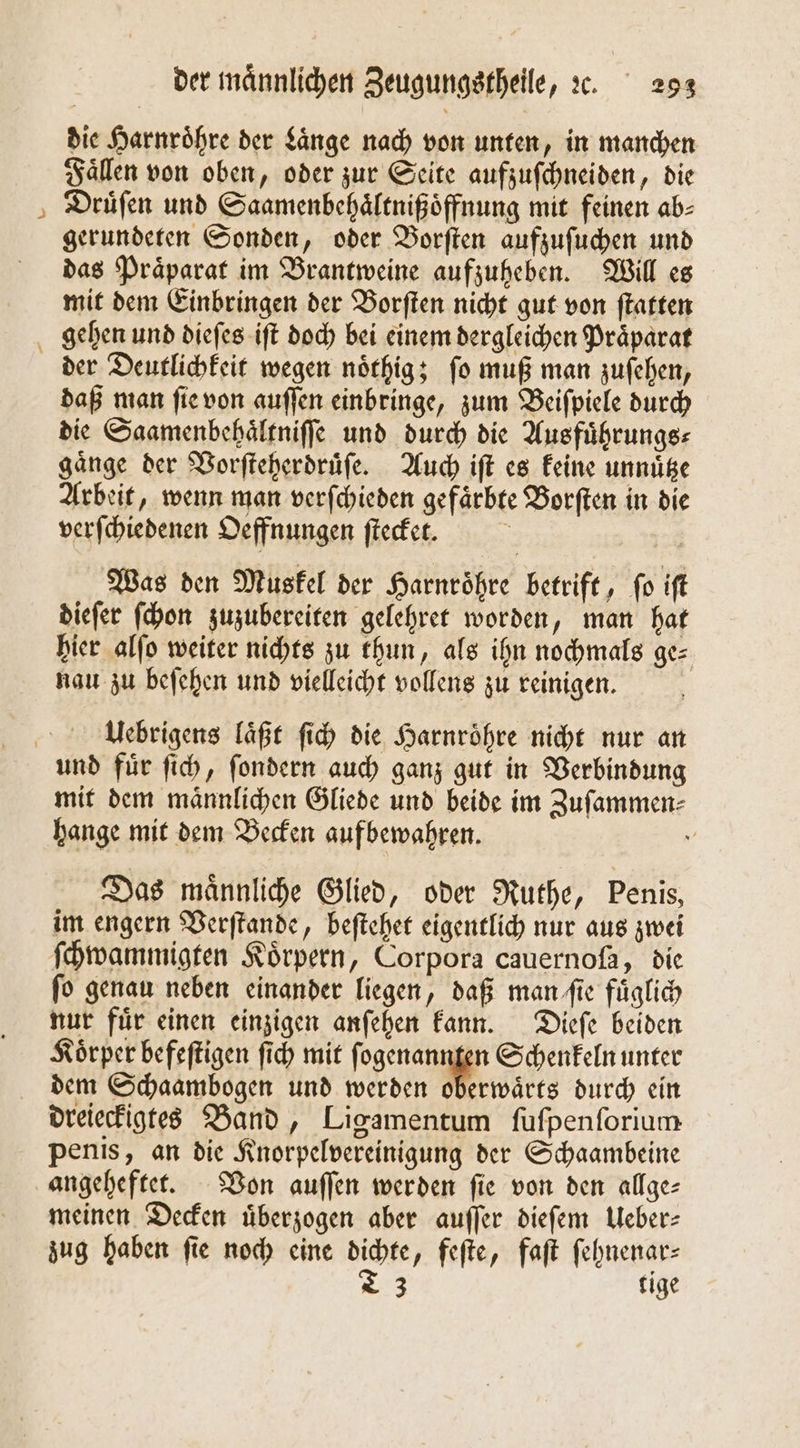 * die Harnroͤhre der Laͤnge nach von unten, in manchen Faͤllen von oben, oder zur Seite aufzuſchneiden, die Drüfen und Saamenbehaͤltnißoͤffnung mit feinen ab⸗ gerundeten Sonden, oder Vorſten aufzuſuchen und das Praͤparat im Brantweine aufzuheben. Will es mit dem Einbringen der Borſten nicht gut von ſtatten der Deutlichkeit wegen noͤthig; ſo muß man zuſehen, daß man ſie von auſſen einbringe, zum Beiſpiele durch die Saamenbehaͤltniſſe und durch die Ausfuͤhrungs⸗ gaͤnge der Vorſteherdruͤſe. Auch iſt es keine unnuͤtze Arbeit, wenn man verſchieden gefaͤrbte Borſten in die verſchiedenen Oeffnungen ſtecket. | Was den Muskel der Harnröhre betrift, fo ift dieſer ſchon zuzubereiten gelehret worden, man hat hier alſo weiter nichts zu thun, als ihn nochmals ge⸗ nau zu beſehen und vielleicht vollens zu reinigen. Uebrigens laͤßt ſich die Harnroͤhre nicht nur an mit dem maͤnnlichen Gliede und beide im Zuſammen⸗ hange mit dem Becken aufbewahren. 5 Das maͤnnliche Glied, oder Ruthe, Penis, im engern Verſtande, beſtehet eigentlich nur aus zwei ſchwammigten Koͤrpern, Corpora cauernoſa, die fo genau neben einander liegen, daß man ſſe fuͤglich nur fuͤr einen einzigen anſehen kann. Dieſe beiden Körper befeſtigen ſich mit fogenanupen Schenkeln unter dem Schaambogen und werden oberwaͤrts durch ein dreieckigtes Band, Ligamentum ſuſpenſorium penis, an die Knorpelvereinigung der Schaambeine angeheftet. Von auſſen werden ſie von den allge— meinen Decken uͤberzogen aber auſſer dieſem Ueber— zug haben ſie noch eine dichte, feſte, faſt ſehnenar⸗ T 3 tige