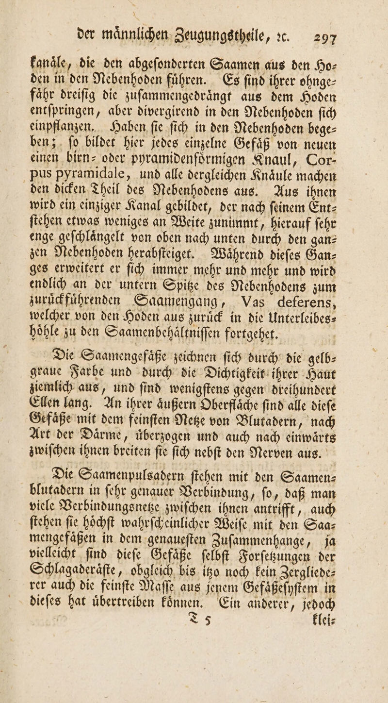 Fanäle, die den abgeſonderten Saamen aus den Ho⸗ den in den Nebenhoden fuͤhren. Es find ihrer ohnge- faͤhr dreiſig die zuſammengedraͤngt aus dem Hoden entſpringen, aber divergirend in den Nebenhoden ſich einpflanzen. Haben ſie ſich in den Nebenhoden bege⸗ ben; fo bildet hier jedes einzelne Gefäß von neuen einen birn⸗ oder pyramidenfoͤrmigen Knaul, Cor- pus pyramidale, und alle dergleichen Knaͤule machen den dicken Theil des Nebenhodens aus. Aus ihnen wird ein einziger Kanal gebildet, der nach feinem Ent⸗ ſtehen etwas weniges an Weite zunimmt, hierauf ſehr enge geſchlaͤngelt von oben nach unten durch den ganz zen Nebenhoden herabſteiget. Waͤhrend dieſes Gan⸗ ges erweitert er ſich immer mehr und mehr und wird endlich an der untern Spitze des Nebenhodens zum zuruͤckfuͤhrenden Saamengang, Vas deferens, welcher von den Hoden aus zurück in die Unterleibes⸗ hoͤhle zu den Saamenbehaͤltniſſen fortgehet. Die Saamengefaͤße zeichnen ſich durch die gelb⸗ graue Farbe und durch die Dichtigkeit ihrer Haut ziemlich aus, und ſind wenigſtens gegen dreihundert Ellen lang. An ihrer aͤußern Oberfläche find alle dieſe Gefaͤße mit dem feinſten Netze von Blutadern, nach Art der Daͤrme, uͤberzogen und auch nach einwaͤrts zwiſchen ihnen breiten ſie ſich nebſt den Nerven aus. Die Saamenpulsadern ſtehen mit den Saamen⸗ blutadern in ſehr genauer Verbindung, ſo, daß man viele Verbindungsnetze zwiſchen ihnen antrifft, auch ſtehen ſie hoͤchſt wahrſcheinlicher Weiſe mit den Saa⸗ mengefaͤßen in dem genaueſten Zuſammenhange, ja vielleicht ſind dieſe Gefaͤße ſelbſt Forſetzungen der Schlagaderaͤſte, obgleich bis itzo noch kein Zergliede⸗ rer auch die feinſte Maſſe aus jenem Gefaͤßeſyſtem in dieſes hat uͤbertreiben koͤnnen. Ein anderer, a T 5 klei⸗