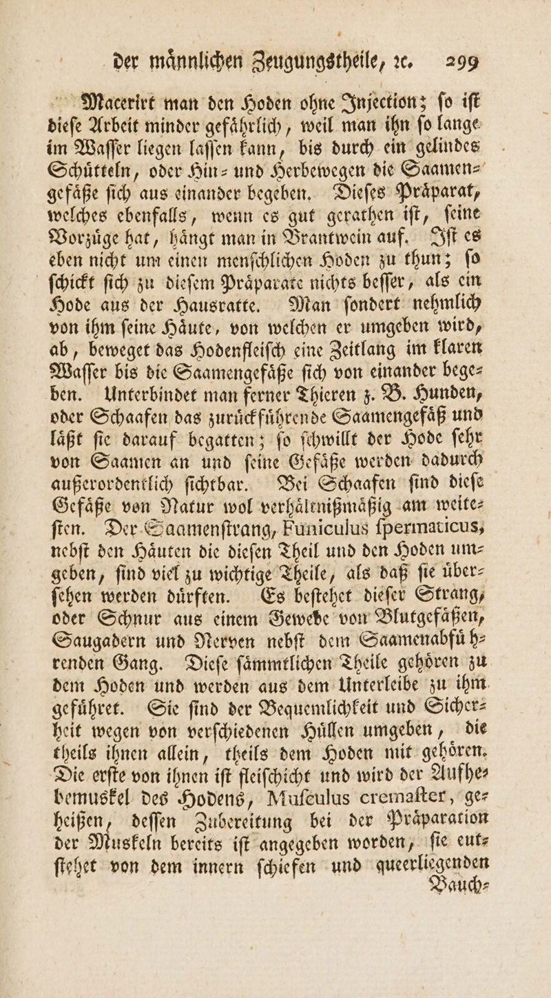 Maceerirt man den Hoden ohne Injection; fo iſt dieſe Arbeit minder gefaͤhrlich, weil man ihn ſo lange im Waſſer liegen laſſen kann, bis durch ein gelindes Schuͤtteln, oder Hin- und Herbewegen die Saamen⸗ gefaͤße ſich aus einander begeben. Dieſes Praͤparat, welches ebenfalls, wenn es gut gerathen iſt, feine Vorzuͤge hat, haͤngt man in Brantwein auf. Iſt es eben nicht um einen menſchlichen Hoden zu thun; ſo ſchickt ſich zu dieſem Praͤparate nichts beſſer, als ein Hode aus der Hausratte. Man ſondert nehmlich von ihm ſeine Haͤute, von welchen er umgeben wird, ab, beweget das Hodenfleiſch eine Zeitlang im klaren Waſſer bis die Saamengefaͤße ſich von einander bege⸗ ben. Unterbindet man ferner Thieren z. B. Hunden, oder Schaafen das zuruͤckfuͤhrende Saamengefaͤß und laͤßt ſie darauf begatten; ſo ſchwillt der Hode ſehr von Saamen an und ſeine Gefaͤße werden dadurch außerordentlich ſichtbar. Bei Schaafen find dieſe Gefaͤße von Natur wol verhaͤltnißmaͤßig am weite⸗ ſten. Der Saamenſtrang, Funiculus ſpermaticus, nebſt den Haͤuten die dieſen Theil und den Hoden um⸗ geben, ſind viel zu wichtige Theile, als daß ſie uͤber⸗ ſehen werden duͤrften. Es beſtehet dieſer Strang, oder Schnur aus einem Gewebe von Blutgefaͤßen, Saugadern und Nerven nebſt dem Saamenabfuͤh⸗ renden Gang. Dieſe ſaͤmmtlichen Theile gehoͤren zu dem Hoden und werden aus dem Unterleibe zu ihm gefuͤhret. Sie ſind der Bequemlichkeit und Sicher⸗ heit wegen von verſchiedenen Huͤllen umgeben, die theils ihnen allein, theils dem Hoden mit gehoͤren. Die erfte von ihnen iſt fleiſchicht und wird der Aufhe⸗ bemuskel des Hodens, Mufeulus cremaſter, ger heißen, deſſen Zubereitung bei der Praͤparation der Muskeln bereits iſt angegeben worden, ſie eut⸗ ſtehet von dem innern ſchiefen und queerliegenden Bauch⸗