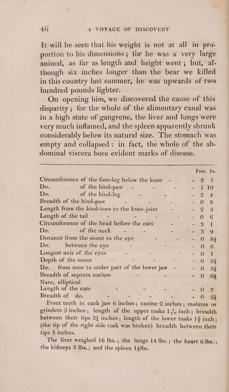 It will be seen that his weight is not at all in pro- portion to his dimensions ; for he was a very large animal, as far as length and height went; but, al- though six inches longer than the bear we killed in this country last summer, he was upwards of two hundred pounds lighter. On opening him, we discover ed the cause of this disparity ; for the whole of the alimentary canal was in a high state of gangrene, the liver and lungs were very much inflamed, and the spleen apparently shrunk considerably below its natural size. The stomach was empty and collapsed: in fact, the whole of the ab- dominal viscera bore evident marks of disease. Feet. In Circumference of the fore-leg below the knee - - 2 5 Do. of the hind-paw_ - - - - 110 Do. of the hind-leg - 2 BN ee | Breadth of the hind-paw - E 3 ty 25 Length from the hind-toes to the knee-joint - Bi gai Length of the tail - 5 . . = A G Circumference of the head before the ears - wieoe sl Do. of the neck - : . &lt;Seiee! Distance from the snout to the eye : - - O 8} Do. between the eye - - = pas Longest-axis of the eyes - - Se Depth of the snout - “ . . ~ 0*3) Do. from nose to under part of the lower jaw - - 0 5% Breadth of septum narium - - - 0 OL Nare, elliptical Length of the ears ~ - “ SO: ass Breadth of do. - - - : - O 2 Front teeth in each jaw 6 inches; canine 2 inches ; molares or grinders 5 inches; length of the upper tusks 1,3; inch; breadth between their tips 31 none length of the ewer tusks 1? inch; (the tip of the right side tusk was broken) breadth bétwcen their tips 3 inches. The liver weighed 16 Ibs. ; the lungs 14: Ibs. ; the heart 6 Ibs. ; the kidneys 3 lbs.; and the spleen 14lbs.