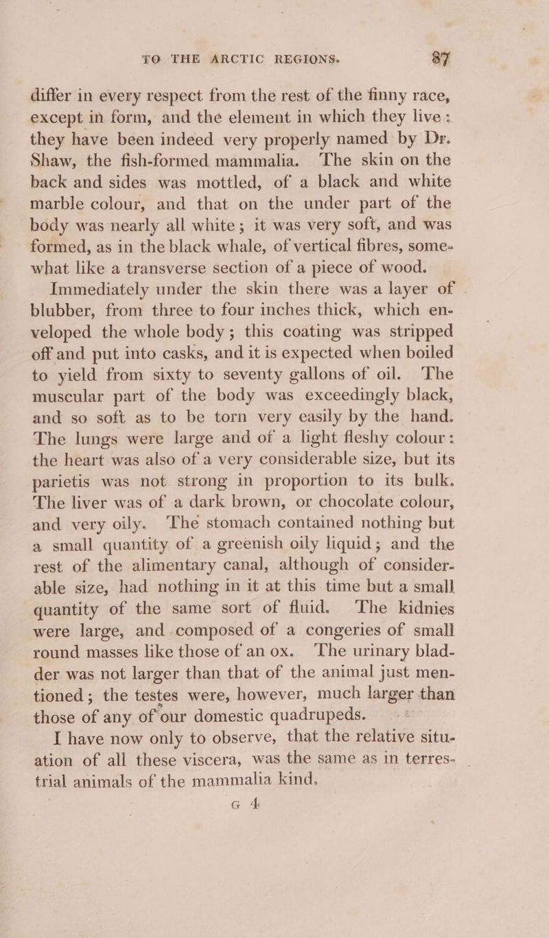 differ in every respect from the rest of the finny race, except in form, and the element in which they live : they have been indeed very properly named by Dr. Shaw, the fish-formed mammalia. The skin on the back and sides was mottled, of a black and white marble colour, and that on the under part of the body was nearly all white ; it was very soft, and was formed, as in the black whale, of vertical fibres, some- what like a transverse section of a piece of wood. Immediately under the skin there was a layer of | blubber, from three to four inches thick, which en- veloped the whole body; this coating was stripped off and put into casks, and it is expected when boiled to yield from sixty to seventy gallons of oil. The muscular part of the body was exceedingly black, and so soft as to be torn very easily by the hand. The lungs were large and of a light fleshy colour: the heart was also of a very considerable size, but its parietis was not strong in proportion to its bulk. The liver was of a dark brown, or chocolate colour, and very oily. The stomach contained nothing but a small quantity of a greenish oily liquid; and the rest of the alimentary canal, although of consider- able size, had nothing in it at this time but a small quantity of the same sort of fluid. The kidnies were large, and composed of a congeries of smali round masses like those of anox. ‘The urinary blad- der was not larger than that of the animal just men- tioned ; the testes were, however, much larger than those 6f any of our domestic quadrupeds. I have now only to observe, that the relative situ- ation of all these viscera, was the same as in terres- _ trial animals of the mammalia kind. | G 4