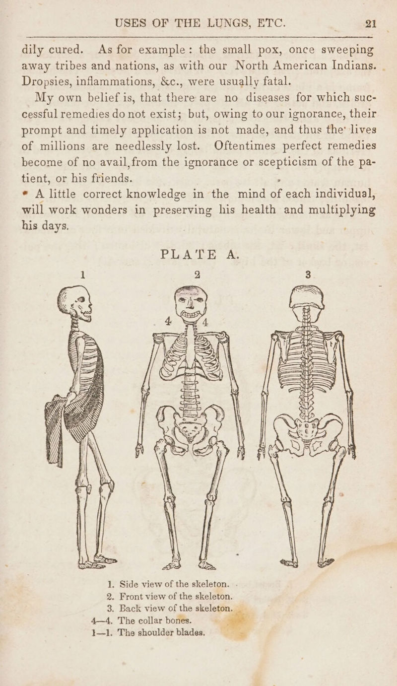 dily cured. As for example: the small pox, once sweeping away tribes and nations, as with our North American Indians. | Dropsies, inflammations, &amp;c., were usually fatal. My own belief is, that there are no diseases for which suc- cessful remedies do not exist; but, owing to our ignorance, their prompt and timely application is not made, and thus the’ lives of millions are needlessly lost. Oftentimes perfect remedies become of no avail,from the ignorance or scepticism of the pa- tient, or his friends. 3 . * A little correct knowledge in the mind of each individual, will work wonders in preserving his health and multiplying his days. PLATE A. tes ~ 1. Side view of the skeleton. - 2. Front view of the skeleton. 3. Back view of the skeleton. 4—4, The collar bones. ind : 1—1. The shoulder blades. ;