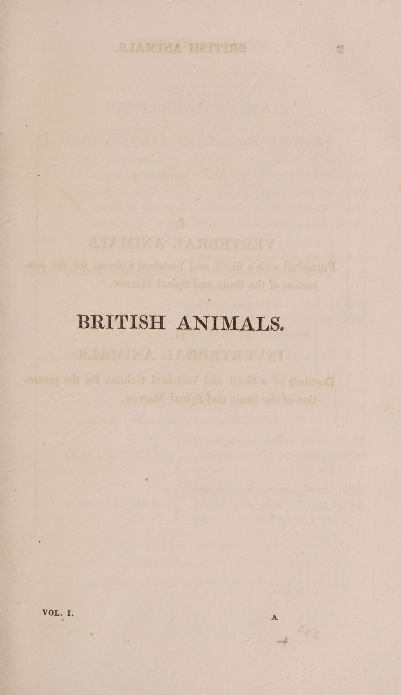 BRITISH ANIMALS.