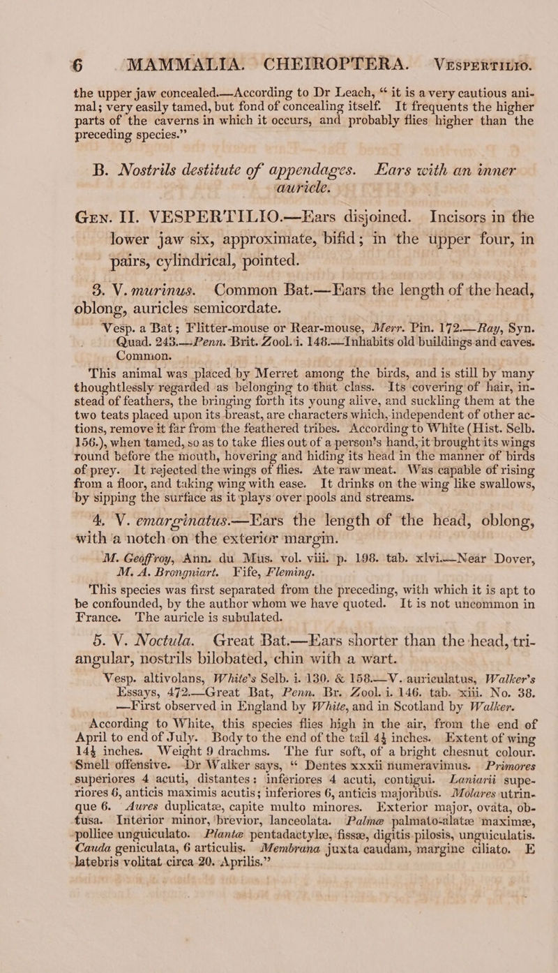 the upper jaw concealed.—According to Dr Leach, “ it is a very cautious ani- mal; very easily tamed, but fond of concealing itself: It frequents the higher parts of the caverns in which it occurs, and probably flies higher than the preceding species.” B. Nostrils destitute of appendages. Ears with an inner auricle. Gen. II. VESPERTILIO.—Ears disjoined. Incisors in the _ pairs, cylindrical, pointed. 3. V. murinus. Common Bat.—Fars the length of the head, oblong, auricles semicordate. Vesp. a Bat; Flitter-mouse or Rear-mouse, Merr. Pin. 172.—Ray, Syn. Quad. 243.—Penn. Brit. Zool.i. 148.—Inhabits old buildings-and caves. Commion. This animal was placed by Merret among the birds, and is still by many thoughtlessly regarded as belonging to that class. Its covering of hair, in- stead of feathers, the bringing forth its young alive, and suckling them at the two teats placed upon its breast, are characters which, independent of other ac- tions, remove it far from the feathered tribes. According to White (Hist. Selb. 156.), when tamed, so as to take flies out of a person’s hand, it brought its wings round before the mouth, hovering and hiding its head in the manner of birds of prey. It rejected the wings of flies. Ate‘rawmeat. Was capable of rising from a floor, and taking wing with ease. It drinks on the wing like swallows, by sipping the surface as it plays over pools and streams. 4, V. emarginatus.—Kars the length of the head, oblong, with ‘a notch-on the exterior margin. M. Geoffroy, Ann. du Mus. vol. viii. p. 198. tab. xlviitNear Dover, M, A. Brongniart. Fife, Fleming. This species was first separated from the preceding, with which it is apt to be confounded, by the author whom we have quoted. It is not uncommon in France. The auricle is subulated. 5. V. Noctula. Great Bat.—EKars shorter than the head, tri- angular, nostrils bilobated, chin with a wart. Vesp. altivolans, White's Selb. i. 130. &amp; 158.—V. auriculatus, Walker’s Essays, 472.—Great Bat, Penn. Br. Zool. i. 146. tab. xiii. No. 38. —First observed in England by White, and in Scotland by Walker. According to White, this species flies high in the air, from the end of April to endof July. Body to the end of the tail 44 inches. Extent of wing 144 inches. Weight 9 drachms. The fur soft, of a bright chesnut colour. ‘Smell offensive. Dr Walker says, ‘“* Dentes xxxii numeravimus. Primores superiores 4 acuti, distantes: inferiores 4 acuti, contigui. Laniarii supe- riores 6, anticis maximis acutis; inferiores 6, anticis majoribus. Molares utrin- ue 6. Aures duplicate, capite multo minores. Exterior major, ovata, ob- tusa. Interior minor, ‘brevior, lanceolata. Palme palmato-alatee maximee, pollice unguiculato. Plante pentadactyle, fissee, digitis-pilosis, unguiculatis. Cauda geniculata, 6 articulis. Membrana juxta caudam, margine ciliato. E latebris volitat circa 20. Aprilis.”