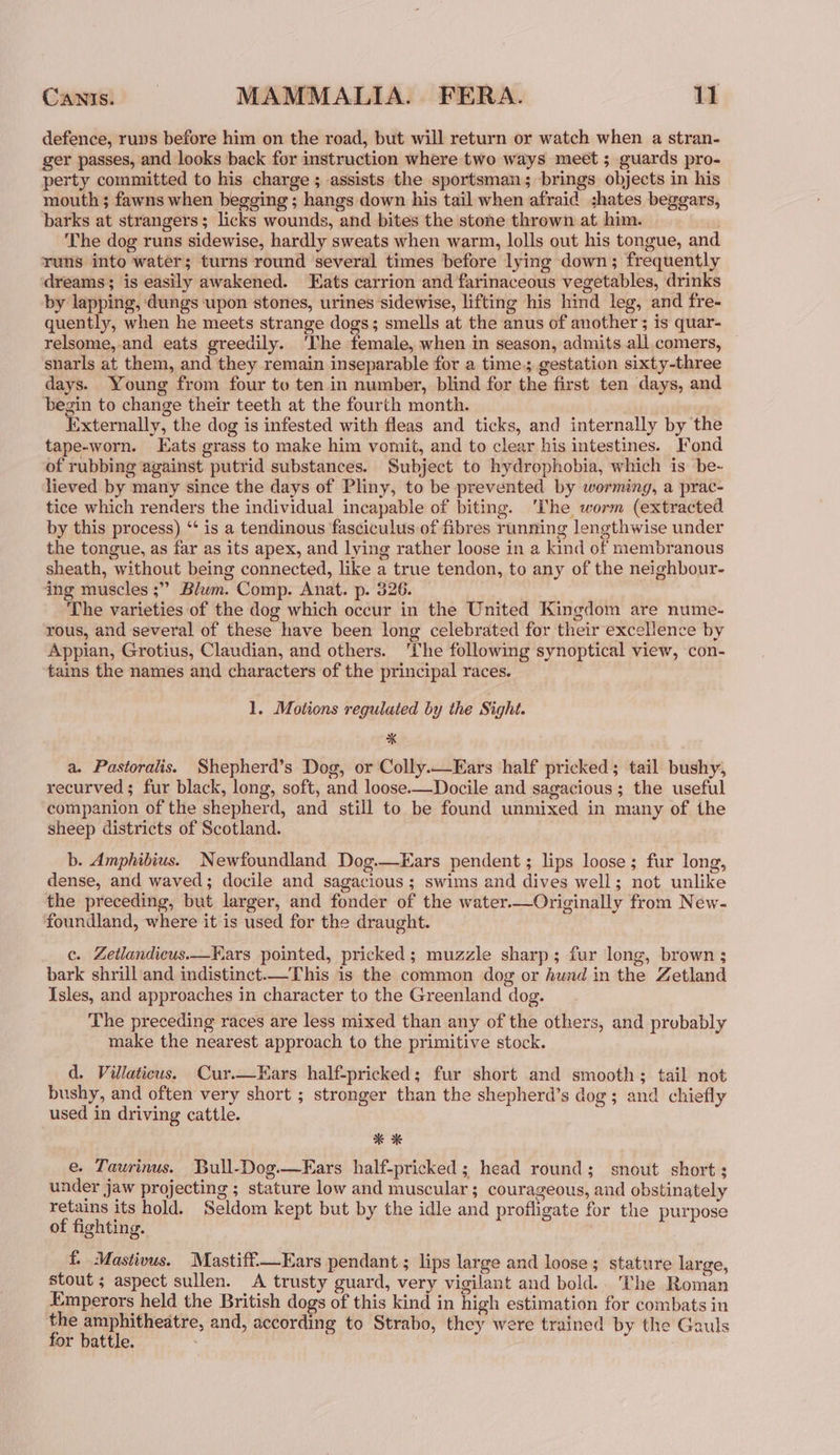 defence, runs before him on the road, but will return or watch when a stran- ger passes, and looks back for instruction where two ways meet ; guards pro- perty committed to his charge; assists the sportsman; brings objects in his mouth ; fawns when begging ; hangs down his tail when afraid ;hates beggars, barks at strangers; licks wounds, and bites the stone thrown at him. | The dog runs sidewise, hardly sweats when warm, lolls out his tongue, and runs into water; turns round several times before lying down; frequently ‘dreams; is easily awakened. Tats carrion and farinaceous vegetables, drinks by lapping, dungs upon stones, urines sidewise, lifting his hind leg, and fre- quently, when he meets strange dogs; smells at the anus of another ; is quar- relsome,.and eats greedily. The female, when in season, admits ali comers, snarls at them, and they remain inseparable for a time; gestation sixty-three days. Young from four to ten in number, blind for the first ten days, and begin to change their teeth at the fourth month. | Externally, the dog is infested with fleas and ticks, and internally by the tape-worn. Eats grass to make him vomit, and to clear his intestines. Fond of rubbing against putrid substances. Subject to hydrophobia, which is be~ lieved by many since the days of Pliny, to be prevented by worming, a prac- tice which renders the individual incapable of biting. ‘The worm (extracted by this process) ‘‘ is a tendinous fasciculus of fibres running lengthwise under the tongue, as far as its apex, and lying rather loose in a kind of membranous sheath, without being connected, like a true tendon, to any of the neighbour- ing muscles ;” Blum. Comp. Anat. p. 326. The varieties of the dog which occur in the United Kingdom are nume- rous, and several of these have been long celebrated for their excellence by Appian, Grotius, Claudian, and others. ‘The following synoptical view, con- tains the names and characters of the principal races. 1. Motions regulated by the Sight. x a. Pastoralis. Shepherd’s Dog, or Colly.—Kars half pricked; tail bushy, recurved; fur black, long, soft, and loose.—Docile and sagacious; the useful companion of the shepherd, and still to be found unmixed in many of the sheep districts of Scotland. b. Amphibius. Newfoundland Dog.—Ears pendent ; lips loose; fur long, dense, and waved; docile and sagacious ; swims and dives well; not unlike the preceding, but larger, and fonder of the water.—Originally from New- foundland, where it is used for the draught. c. Zetlandicus.—HKars pointed, pricked; muzzle sharp; fur long, brown ; bark shrill and indistinct.—This is the common dog or hund in the Zetland Isles, and approaches in character to the Greenland dog. The preceding races are less mixed than any of the others, and probably make the nearest approach to the primitive stock. d. Villaticus. Cur.—Ears half-pricked; fur short and smooth; tail not bushy, and often very short ; stronger than the shepherd’s dog; and chiefly used in driving cattle. * % e. Taurinus. Bull-Dog.—Fars half-pricked; head round; snout short; under jaw projecting ; stature low and muscular; courageous, and obstinately retains its hold. Seldom kept but by the idle and profligate for the purpose of fighting. f. Mastivus. Mastiff—Ears pendant ; lips large and loose; stature large, stout ; aspect sullen. A trusty guard, very vigilant and bold. The Roman Emperors held the British dogs of this kind in high estimation for combats in or 7 38 gai and, according to Strabo, they were trained by the Gauls r battle. ;