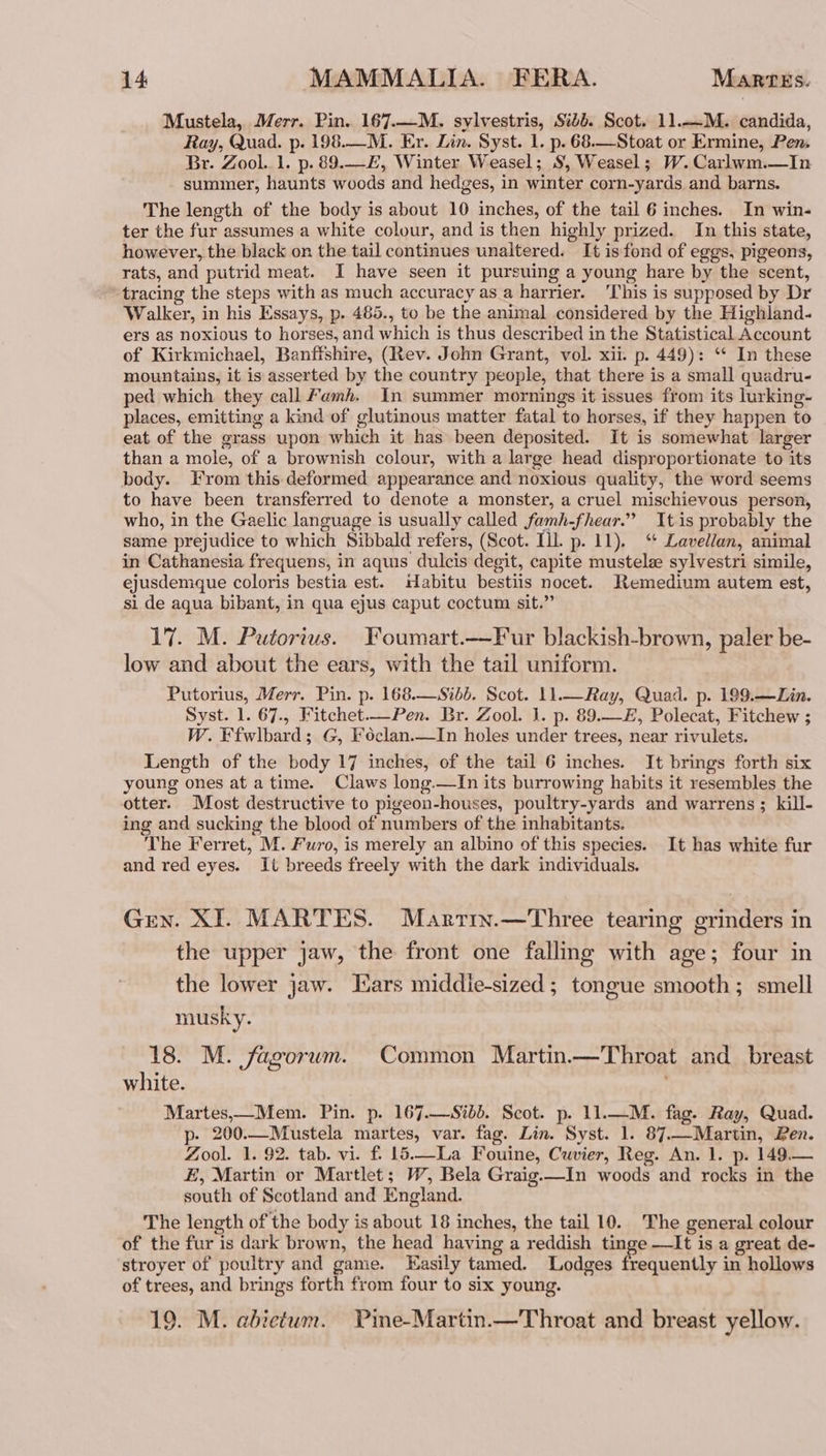 Mustela, Merr. Pin. 167.—M. sylvestris, Sid. Scot. 11.—M. candida, Ray, Quad. p. 198.—M. Er. Lin. Syst. 1. p. 68.—Stoat or Ermine, Pen Br. Zool. 1. p. 89.—E£, Winter Weasel; S, Weasel; W.Carlwm.—In summer, haunts woods and hedges, in winter corn-yards and barns. The length of the body is about 10 inches, of the tail 6 inches. In win- ter the fur assumes a white colour, and is then highly prized. In this state, however, the black on the tail continues unaltered. It is fond of eggs, pigeons, rats, and putrid meat. I have seen it pursuing a young hare by the scent, tracing the steps with as much accuracy as a harrier. This is supposed by Dr Walker, in his Essays, p. 485., to be the animal considered by the Highland- ers as noxious to horses, and which is thus described in the Statistical Account of Kirkmichael, Banffshire, (Rev. John Grant, vol. xii. p. 449): ‘* In these mountains, it is asserted by the country people, that there is a small quadru- ped which they call Famh. In summer mornings it issues from its lurking- places, emitting a kind of glutinous matter fatal to horses, if they happen to eat of the grass upon which it has been deposited. It is somewhat larger than a mole, of a brownish colour, with a large head disproportionate to its body. From this deformed appearance and noxious quality, the word seems to have been transferred to denote a monster, a cruel mischievous person, who, in the Gaelic language is usually called famh-fhear.”’ It is probably the same prejudice to which Sibbald refers, (Scot. Ill. p. 11). ‘+ Lavellan, animal in Cathanesia frequens, in aquis dulcis degit, capite mustelz sylvestri simile, ejusdemque coloris bestia est. Habitu bestiis nocet. Remedium autem est, si de aqua bibant, in qua ejus caput coctum sit.” 17. M. Putorius. Foumart.—Fur blackish-brown, paler be- low and about the ears, with the tail uniform. Putorius, Merr. Pin. p. 168.—Sibb. Scot. 11.— Ray, Quad. p. 199.—Lin. Syst. 1. 67., Fitchet.—Pen. Br. Zool. I. p. 89.—£, Polecat, Fitchew ; W. Ffwlbard; G, Foclan.—In holes under trees, near rivulets. Length of the body 17 inches, of the tail 6 inches. It brings forth six oung ones at a time. Claws long.—TIn its burrowing habits it resembles the otter. Most destructive to pigeon-houses, poultry-yards and warrens; kill- ing and sucking the blood of numbers of the inhabitants. The Ferret, M. Furo, is merely an albino of this species. It has white fur and red eyes. It breeds freely with the dark individuals. Gren. XI. MARTES. Marrin.—Three tearing grinders in the upper jaw, the front one falling with age; four in the lower jaw. Ears middle-sized ; tongue smooth; smell musky. 18. M. fagorum. Common Martin.—Throat and breast white. Martes,_Mem. Pin. p. 167.—Sibb. Scot. p. 11.—M. fag. Ray, Quad. p- 200.—Mustela martes, var. fag. Lin. Syst. 1. 87..-Martin, Pen. Zool. 1. 92. tab. vi. f. 15.—La Fouine, Cuvier, Reg. An. 1. p. 149.— E, Martin or Martlet; W, Bela Graig.—In woods and rocks in the south of Scotland and England. The length of the body is about 18 inches, the tail 10. The general colour of the fur is dark brown, the head having a reddish tinge —It is a great de- stroyer of poultry and ganie. Easily tamed. Lodges frequently in hollows of trees, and brings forth from four to six young. 19. M. abietum. Pine-Martin.—Throat and breast yellow.