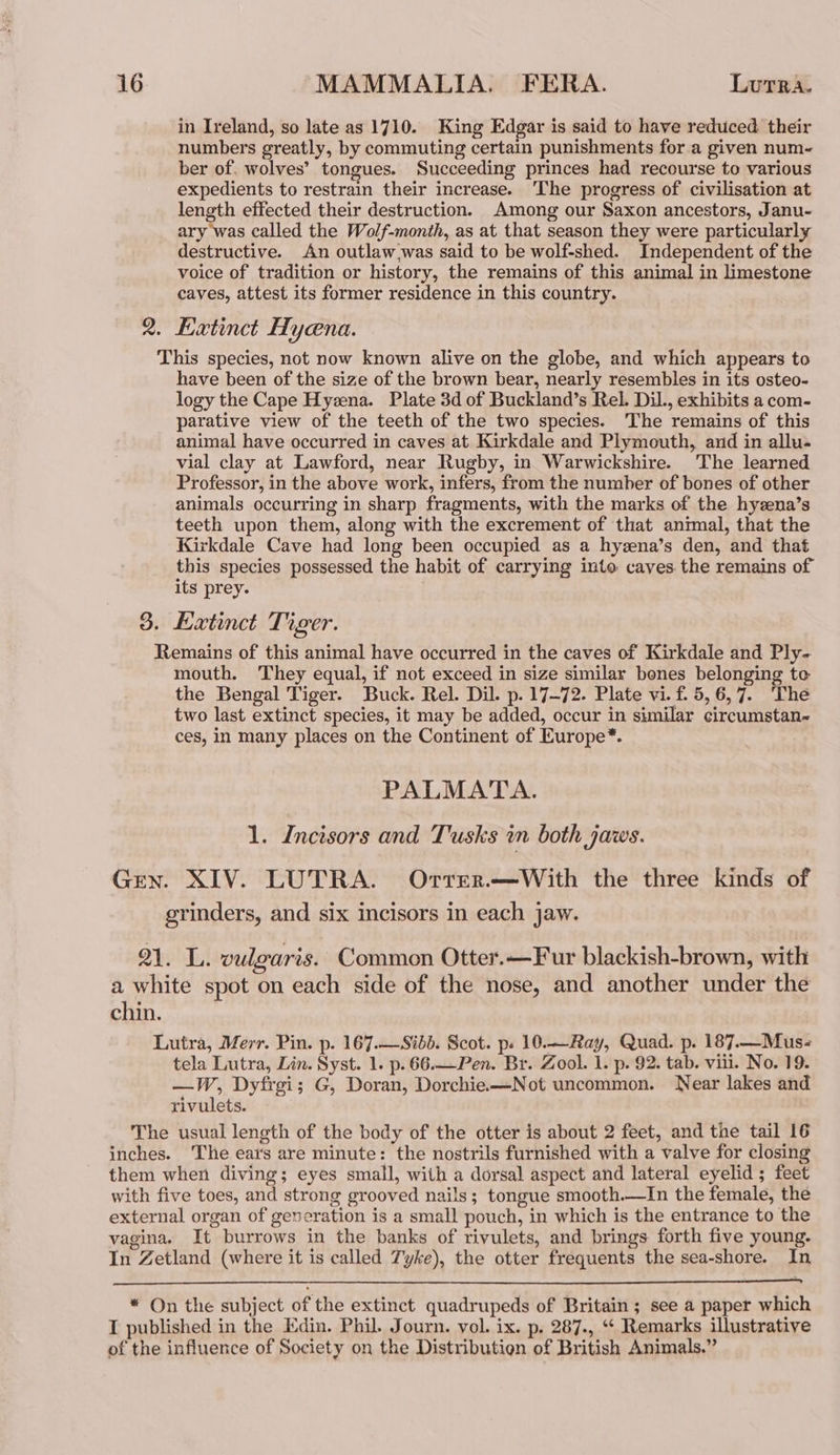 in Ireland, so late as 1710. King Edgar is said to have reduced their numbers greatly, by commuting certain punishments for a given num-~ ber of. wolves’ tongues. Succeeding princes had recourse to various expedients to restrain their increase. ‘The progress of civilisation at length effected their destruction. Among our Saxon ancestors, Janu- ary was called the Wolf-month, as at that season they were particularly destructive. An outlaw,was said to be wolf-shed. Independent of the voice of tradition or history, the remains of this animal in limestone caves, attest its former residence in this country. 2. Katinct Hyena. This species, not now known alive on the globe, and which appears to have been of the size of the brown bear, nearly resembles in its osteo- logy the Cape Hyzena. Plate 3d of Buckland’s Rel. Dil., exhibits a com- parative view of the teeth of the two species. The remains of this animal have occurred in caves at Kirkdale and Plymouth, and in allu- vial clay at Lawford, near Rugby, in Warwickshire. The learned Professor, in the above work, infers, from the number of bones of other animals occurring in sharp fragments, with the marks of the hyzena’s teeth upon them, along with the excrement of that animal, that the Kirkdale Cave had long been occupied as a hyzena’s den, and that this species possessed the habit of carrying into caves the remains of its prey. 3. Latinet Tiger. Remains of this animal have occurred in the caves of Kirkdale and Ply- mouth. They equal, if not exceed in size similar bones belonging to the Bengal Tiger. Buck. Rel. Dil. p. 17-72. Plate vi. f.5,6,7. ‘The two last extinct species, it may be added, occur in similar circumstan~ ces, in many places on the Continent of Europe*. PALMATA. 1. Incisors and Tusks in both jaws. Gen. XIV. LUTRA. Orter.—With the three kinds of erinders, and six incisors in each jaw. Q1. L. vulgaris. Common Otter.—Fur blackish-brown, with a white spot on each side of the nose, and another under the chin. Lutra, Merr. Pin. p. 167.—Sibb. Scot. ps 10.—Ray, Quad. p. 187.—Mus- tela Lutra, Lin. Syst. 1. p. 66.—Pen. Br. Zool. 1. p. 92. tab. viii. No. 19. —W, Dyfrgi; G, Doran, Dorchie.—Not uncommon. Near lakes and rivulets. The usual length of the body of the otter is about 2 feet, and the tail 16 inches. The ears are minute: the nostrils furnished with a valve for closing them when diving; eyes small, with a dorsal aspect and lateral eyelid ; feet with five toes, and strong grooved nails; tongue smooth.—In the female, the external organ of generation is a small pouch, in which is the entrance to the vagina. It burrows in the banks of rivulets, and brings forth five young. In Zetland (where it is called Tyke), the otter frequents the sea-shore. In * On the subject of the extinct quadrupeds of Britain ; see a paper which I published in the Edin. Phil. Journ. vol. ix. p. 287., ‘‘ Remarks illustrative of the influence of Society on the Distribution of British Animals.”