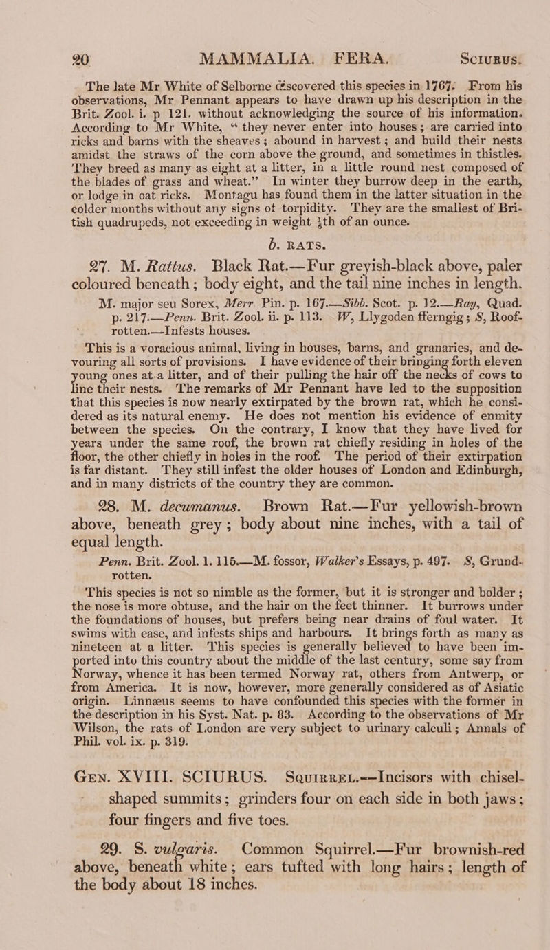 The late Mr White of Selborne @scovered this species in 1767. From his observations, Mr Pennant appears to have drawn up his description in the Brit. Zool. i. p 121. without acknowledging the source of his information. According to Mr White, “ they never enter into houses; are carried into ricks and barns with the sheaves; abound in harvest ; and build their nests amidst the straws of the corn above the ground, and sometimes in thistles. They breed as many as eight at a litter, in a little round nest composed of the blades of grass and wheat.” In winter they burrow deep in the earth, or lodge in oat ricks. Montagu has found them in the latter situation in the colder months without any signs of torpidity. They are the smaliest of Bri- tish quadrupeds, not exceeding in weight 4th of an ounce. b. RATS. Q7. M. Rattus. Black Rat.—Fur greyish-black above, paler coloured beneath ; body eight, and the tail nine inches in length. M. major seu Sorex, Merr Pin. p. 167.—Sibb. Scot. p. 12.—Ray, Quad. p. 217.—Penn. Brit. Zool. ii. p. 113. W, Llygoden fferngig; S, Roof- rotten.—Infests houses. This is a voracious animal, living in houses, barns, and granaries, and de- vouring all sorts of provisions. I have evidence of their bepeiny foul eleven oung ones at.a litter, and of their pulling the hair off the necks of cows to fine their nests. The remarks of Mr Pennant have led to the supposition that this species is now nearly extirpated by the brown rat, which he consi- dered as its natural enemy. He does not mention his evidence of enmity between the species. On the contrary, I know that they have lived for years under the same roof, the brown rat chiefly residing in holes of the floor, the other chiefly in holes in the roof. ‘The period of their extirpation is far distant. They still infest the older houses of London and Edinburgh, and in many districts of the country they are common. 28. M. decumanus. Brown Rat.—Fur yellowish-brown above, beneath grey ; body about nine inches, with a tail of equal length. Penn. Brit. Zool. 1. 115.—M. fossor, Walker’s Essays, p. 497. S, Grund- rotten. This species is not so nimble as the former, but it is stronger and bolder ; the nose is more obtuse, and the hair on the feet thinner. It burrows under the foundations of houses, but prefers being near drains of foul water. It swims with ease, and infests ships and harbours. It brings forth as many as nineteen at a litter. This species is Seek believed to have been im- ported into this country about the middle of the last century, some say from Norway, whence it has been termed Norway rat, others from Antwerp, or from America. It is now, however, more generally considered as of Asiatic origin. Linnzus seems to have confounded this species with the former in the description in his Syst. Nat. p. 83. According to the observations of Mr Wilson, the rats of London are very subject to urinary calculi; Annals of Phil. vol. ix. p. 319. Gen. XVIII. SCIURUS. Seurtrrer.-—Incisors with chisel- shaped summits ; grinders four on each side in both jaws ; four fingers and five toes. 29. S. vulgaris. Common Squirrel—Fur brownish-red above, beneath white; ears tufted with long hairs; length of the body about 18 inches.