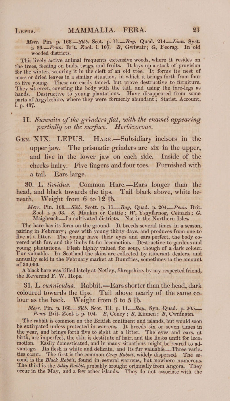 Merr. Pin. p. 168.—sSidb. Scot. p. 11.—Ray, Quad. 214.—Linn. Syst. i. 86.—Penn. Brit. Zool. i. 107. B, Gwiwair; G, Feorag. In old wooded districts. This lively active animal frequents extensive woods, where it resides on the trees, feeding on buds, twigs, and fruits. It lays up a stock of provision for the winter, securing it in the cleft of an old tree. It forms its nest of moss or dried leaves in a similar situation, in which it brings forth from four to five young. ‘These are easily tamed, but prove destructive to furniture. They sit erect, covering the body with the tail, and using the fore-legs as hands. Destructive to young plantations. Have disappeared from some parts of Argyleshire, where they were formerly abundant; Statist. Account, i. p. 487. IL. Summits of the grinders flat, with the enamel appearing partially on the surface. Herbivorous. Gen. XIX. LEPUS. Harer.—Subsidiary incisors in the upper jaw. The prismatic grinders are six in the upper, and five in the lower jaw on each side. Inside of the _ cheeks hairy. Five fingers and four toes. Furnished with atail. Ears large. 30. L. temidus. Common Hare.—Ears longer than the head, and black towards the tips. Tail black above, white be- neath. Weight from 6 to 12 tb. Merr. Pin. 168.—Sibb. Scott. p. 11.—Ray, Quad. p. 204._Penn. Brit. Zool. i. p. 98. S, Maukin or Cuttie; W, Ysgyfarnog, Ceinach; G, Maigheach.—In cultivated districts. Not in the Northern Isles. The hare has its form on the ground. It breeds several times in a season, pairing in February ; goes with young thirty days, and produces from one to five at a litter. The young have their eyes and ears perfect, the body co- vered with fur, and the limbs fit for locomotion. Destructive to gardens and young plantations. Flesh highly valued for soup, though of a dark colour. Fur valuable. In Scotland the skins are collected by itinerant dealers, and annually sold in the February market at Dumfries, sometimes to the amount of 30,000. A black hare was killed lately at Netley, Shropshire, by my respected friend, the Reverend F. W. Hope. 31. L.cunniculus. Rabbit.—FEars shorter than the head, dark coloured towards the tips. Tail above nearly of the same co- lour as the back. Weight from 3 to 5 tb. Merr. Pin. p. 168.—S%bd. Scot. Tl. p. 11.—Ray, Syn. Quad. p. 205.— Penn. Brit. Zool. i. p. 104. E, Coney; S, Kinnen; B, Cwningen. _ The rabbit is common on the British continent and islands, but would soon be extirpated unless protected in warrens. It breeds six or seven times in the year, and brings forth five to eight at a litter. The eyes and ears, at birth, are imperfect, the skin is destitute of hair, and the lin-bs unfit for loco- motion. Easily domesticated, and in many situations might, be reared to ad- vantage. Its flesh is white and delicate, and its fur valuable-—Three varie- ties occur. The first is the common Grey Rabbit, widely dispersed. The se. cond is the Black Rabbit, found in several warrens, but nowhere numerous. The third is the Silky Rabbit, probably brought originally from Angora. They eccur in the May, and a few other islands. They do not associate with the