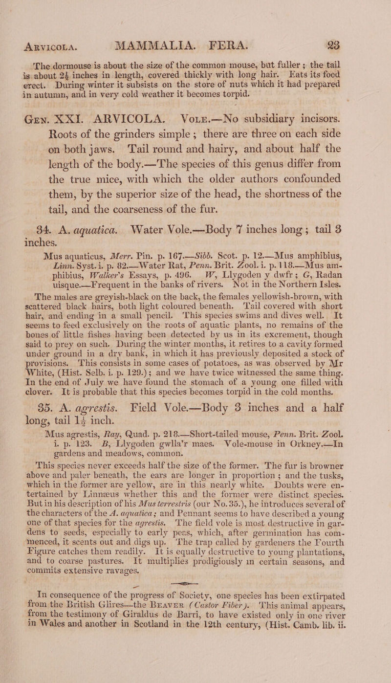 'The dormouse is about the size of the common mouse, but fuller ; the tail ig. about 24 inches in length, covered thickly with long hair. Eats its food erect. During winter it subsists on the store of nuts which it had prepared in autumn, and in very cold weather it becomes torpid. Gey. XXI. ARVICOLA. Vo.ir.—No subsidiary incisors. Roots of the grinders simple ; there are three on each side on both jaws. Tail round and hairy, and about half the length of the body.—The species of this genus differ from the true mice, with which the older authors confounded them, by the superior size of the head, the shortness of the tail, and the coarseness of the fur. 34. A. aquatica. Water Vole-—Body 7 inches long ; tail 3 inches. Mus aquaticus, Merr. Pin. p. 167.—Sibd. Scot. p. 12.—Mus amphibius, Linn. Syst.i. p. 82.—Water Rat, Penn. Brit. Zool. i. p.118.—Mus am- phibius, Walker’s Essays, p. 496. W, Llygoden y dwfr; G, Radan uisque.—F requent in the banks of rivers. Not in the Northern Isles. The males are greyish-black on the back, the females yellowish-brown, with scattered black hairs, both light coloured beneath. ‘Tail covered with short hair, and ending in a small pencil. ‘This species swims and dives well. It seems to feed exclusively on the roots of aquatic plants, no remains of the bones of little fishes having been detected by us in its excrement, though said to prey on such. During the winter months, it retires to a cavity formed under ground in a dry bank, in which it has previously deposited a stock of <a tana This consists in some cases of potatoes, as was observed by Mr White, (Hist. Selb. i. p. 129.); and we have twice witnessed the same thing. In the end of July we have found the stomach of a young one filled with clover. It is probable that this species becomes torpid in the cold months. _ 85. A. agrestis. Field Vole—Body 3 inches and a half long, tail 14 inch. Mus agrestis, Ray, Quad. p. 218.—Short-tailed mouse, Penn. Brit. Zool. i, p. 123. B, Llygoden gwlla’r maes. Vole-mouse in Orkney.—In gardens and meadows, common. This species never exceeds half the size of the former. The fur is browner above and paler beneath, the ears are longer in proportion ; and the tusks, which in the former are yellow, are in this nearly white. Doubts were en- tertained by Linnzeus whether this and the former were distinct species. But in his description of his Mus terrestris (our No.35.), he introduces several of the characters of the A. aquatica; and Pennant seems to have described a young one of that species for the agrestis. 'The field vole is most destructive in gar- dens to seeds, especially to early peas, which, after germination has com- menced, it scents out and digs up. ‘The trap called by gardeners the Fourth Figure catches them readily. It is equally destructive to young plantations, and to coarse pastures. It multiplies prodigiously in certain seasons, and commits extensive ravages. oe —=>—— In consequence of the progress of Society, one species has been extirpated from the British Glires—the Braver (Castor Fiber ).. This animal appears, from the testimony of Giraldus de Barri, to have existed only in one river in Wales and another in Scotland in the 12th century, (Hist. Camb. lib. ii.