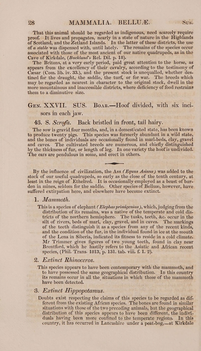 That this animal should be regarded as indigenous, need scarcely require proof. It lives and propagates, nearly in a state of nature in the Highlands of Scotland, and the Zetland Islands. In the latter of these districts, the use of a stable was dispensed with, until lately. The remains of the species occur associated with those of the most ancient of our native quadrupeds, as in the Cave of Kirkdale, (Buckland’s Rel. Dil. p. 18). The Britons, at a very early period, paid great attention to the horse, as appears from the excellency of their cavalry, according to the testimony of Czsar (Com. lib. iv. 33.), and the present stock is unequalled, whether des- tined for the draught, the saddle, the turf, or for war. ‘The breeds which may be regarded as nearest in character to the original stock, dwell in the more mountainous and inaccessible districts, where deficiency of food restrains them to a diminutive size. Gen. XXVII. SUS. Boar.—Hoof divided, with six inci- sors In each jaw. 43.-S. Scrofa. Back bristled in front, tail hairy. The sow is gravid four months, and, in a domesticated state, has been known to produce twenty pigs. This species was formerly abundant in a wild state, and the bones of individuals are occasionally found in marl-beds, clay, gravel and caves. The cultivated breeds are numerous, and chiefly distinguished by the thickness of fur, or length of leg. In one variety the hoof is undivided. The ears are pendulous in some, and erect in others. —- == By the influence of civilization, the Ass (Equus Asinus) was added to the stock of our useful quadrupeds, so early as the close of the tenth century, at least in the reign of Ethelred. It is occasionally employed as a beast of bur- den in mines, seldom for the saddle. Other species of Belluse, however, have suffered extirpation here, and elsewhere have become extinct. 1. Mammoth. This is a species of elephant (Elephas primigenius ), which, judging from the distribution of its remains, was a native of the temperate and cold dis- tricts of the northern hemisphere. ‘The tusks, teeth, &amp;c. occur in the silt of rivers, beds of marl, clay, gravel, and in caves. ‘The markings of the teeth distinguish it as a species from any of the recent kinds, and the condition of the fur, in the individual found in ice at the mouth of the Lena in Siberia, indicated its fitness to reside in a cold climate. Mr Trimmer gives figures of two young teeth, found in clay near Brentford, which he hastily refers to the Asiatic and African recent species, (Phil. Trans. 1813, p. 131. tab. viii. f. 1. 2). 2. Eatinct Rhinoceros. This species appears to have been contemporary with the mammoth, and to have possessed the same geographical distribution. In this country its remains occur in all the situations in which those of the mammoth have been detected. 3. Eatinct Hippopotamus. Doubts exist respecting the claims of this species to be regarded as dif- ferent from the existing African species. The bones are found in similar situations with those of the two preceding animals, but the geographical distribution of this species appears to have been different, the indivi- duals having been more confined to the temperate regions. In this country, it has occurred in Lancashire under a peat-bog,—at Kirkdale