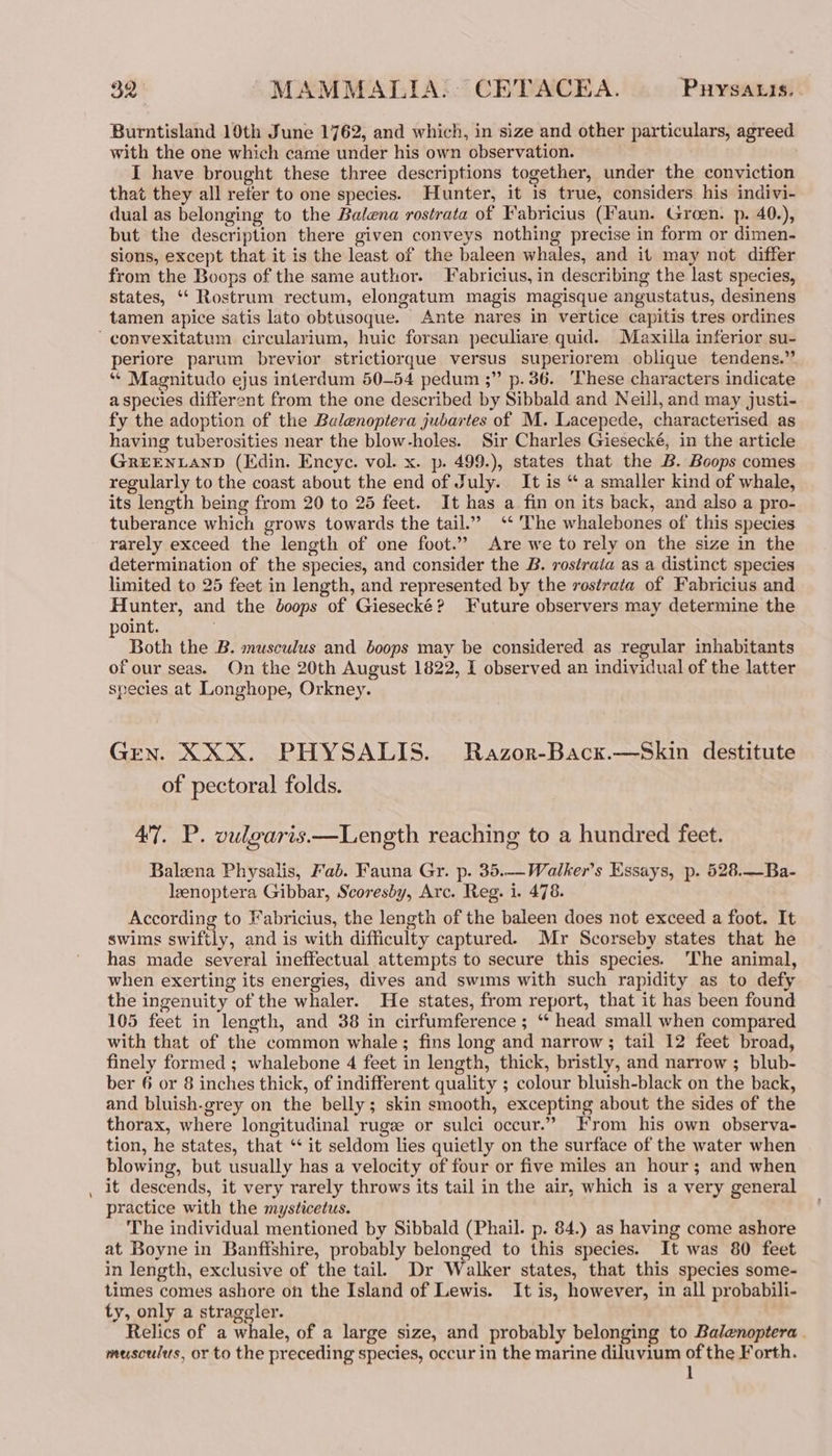 Burntisland 10th June 1762, and which, in size and other particulars, agreed with the one which came under his own observation. I have brought these three descriptions together, under the conviction that they all refer to one species. Hunter, it 1s true, considers his indivi- dual as belonging to the Balena rostrata of Fabricius (Faun. Groen. p. 40.), but the description there given conveys nothing precise in form or dimen- sions, except that it is the least of the baleen whales, and it may not differ from the Boops of the same author. Fabricius, in describing the last species, states, ‘“‘ Rostrum rectum, elongatum magis magisque angustatus, desinens tamen apice satis lato obtusoque. Ante nares in vertice capitis tres ordines ‘ convexitatum circularium, huic forsan peculiare quid. Maxiila inferior su- periore parum brevior strictiorque versus superiorem oblique tendens.” * Magnitudo ejus interdum 50-54 pedum ;” p. 36. ‘These characters indicate aspecies different from the one described by Sibbald and Neill, and may justi- fy the adoption of the Balenoptera jubartes of M. Lacepede, characterised as having tuberosities near the blow-holes. Sir Charles Giesecké, in the article GREENLAND (Edin. Encye. vol. x. p. 499.), states that the B. Boops comes regularly to the coast about the end of July. It is “ a smaller kind of whale, its length being from 20 to 25 feet. It has a fin on its back, and also a pro- tuberance which grows towards the tail.” ‘* The whalebones of this species rarely exceed the length of one foot.” Are we to rely on the size in the determination of the species, and consider the B. rostrata as a distinct species limited to 25 feet in length, and represented by the rostrata of Fabricius and Hunter, and the doops of Giesecké? Future observers may determine the oint. . Z Both the B. musculus and boops may be considered as regular inhabitants of our seas. On the 20th August 1822, I observed an individual of the latter species at Longhope, Orkney. GEN. XXX. PHYSALIS. Razor-Back.—Skin destitute of pectoral folds. 47. P. vulgaris—Length reaching to a hundred feet. Baleena Physalis, Fab. Fauna Gr. p. 35.—Walker’s Essays, p. 628..—-Ba- lzenoptera Gibbar, Scoresby, Arc. Reg. i. 478. According to Fabricius, the length of the baleen does not exceed a foot. It swims swiftly, and is with difficulty captured. Mr Scorseby states that he has made several ineffectual attempts to secure this species. ‘The animal, when exerting its energies, dives and swims with such rapidity as to defy the ingenuity of the whaler. He states, from report, that it has been found 105 feet in length, and 38 in cirfumference ; ‘‘ head small when compared with that of the common whale; fins long and narrow; tail 12 feet broad, finely formed ; whalebone 4 feet in length, thick, bristly, and narrow ; blub- ber 6 or 8 inches thick, of indifferent quality ; colour bluish-black on the back, and bluish-grey on the belly; skin smooth, excepting about the sides of the thorax, where longitudinal rugze or sulci occur.” From his own observa- tion, he states, that ‘+ it seldom lies quietly on the surface of the water when blowing, but usually has a velocity of four or five miles an hour; and when it descends, it very rarely throws its tail in the air, which is a very general practice with the mysticetus. The individual mentioned by Sibbald (Phail. p. 84.) as having come ashore at Boyne in Banffshire, probably belonged to this species. It was 80 feet in length, exclusive of the tail. Dr Walker states, that this species some- times comes ashore on the Island of Lewis. It is, however, in all probabili- ty, only a straggler. Relics of a whale, of a large size, and probably belonging to Balenoptera . musculus, or to the preceding species, occur in the marine diluvium of the Forth.