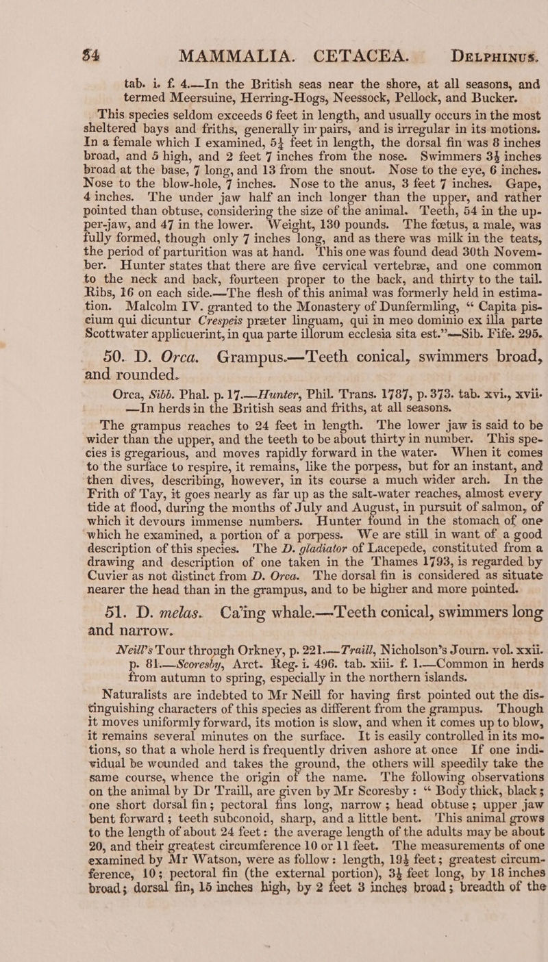 $4 MAMMALIA. CETACEA. DELPHINUS. tab. i. f. 4..-In the British seas near the shore, at all seasons, and termed Meersuine, Herring-Hogs, Neessock, Pellock, and Bucker. _ This species seldom exceeds 6 feet in length, and usually occurs in the most sheltered bays and friths, generally in pairs, and is irregular in its motions. In a female which I examined, 5} feet in length, the dorsal fin was 8 inches broad, and 5 high, and 2 feet 7 inches from the nose. Swimmers 34 inches broad at the base, 7 long, and 13 from the snout. Nose to the eye, 6 inches. Nose to the blow-hole, 7 inches. Nose to the anus, 3 feet 7 inches. Gape, 4 inches. 'The under jaw half an inch longer than the upper, and rather pointed than obtuse, considering the size of the animal. Teeth, 54 in the up- per-jaw, and 47 in the lower. Weight, 130 pounds. The foetus, a male, was fully formed, though only 7 inches long, and as there was milk in the teats, the period of parturition was at hand. ‘This one was found dead 30th Novem- ber. Hunter states that there are five cervical vertebrae, and one common to the neck and back, fourteen proper to the back, and thirty to the tail. Ribs, 16 on each side.—The flesh of this animal was formerly held in estima- tion. Malcolm IV. granted to the Monastery of Dunfermling, “‘ Capita pis- cium qui dicuntur Crespeis preter linguam, qui in meo dominio ex illa parte Scottwater applicuerint, in qua parte illorum ecclesia sita est.”~—Sib. Fife. 295, 50. D. Orca. Grampus.—Teeth conical, swimmers broad, and rounded. Orca, Sib. Phal. p. 17.—Hunier, Phil. Trans. 1787, p. 375. tab. xvi., XVii- —In herds in the British seas and friths, at all seasons. The grampus reaches to 24 feet in length. The lower jaw is said to be wider than the upper, and the teeth to be about thirty in number. This spe- cies is gregarious, and moves rapidly forward in the water. When it comes to the surface to respire, it remains, like the porpess, but for an instant, and then dives, describing, however, in its course a much wider arch. In the Frith of Tay, it goes nearly as far up as the salt-water reaches, almost every tide at flood, during the months of July and August, in pursuit of salmon, of which it devours immense numbers. Hunter found in the stomach of one ‘which he examined, a portion of a porpess. We are still in want of a good description of this species. 'The D. gladiator of Lacepede, constituted from a drawing and description of one taken in the Thames 1793, is regarded by Cuvier as not distinct from D. Orca. The dorsal fin is considered as situate nearer the head than in the grampus, and to be higher and more pointed. 51. D. melas. Caing whale.—Teeth conical, swimmers long and narrow. Neill’s Tour through Orkney, p. 221.—Traiil, Nicholson’s Journ. vol. xxii- p- 81.—Scoresby, Arct. Reg. i. 496. tab. xiii. f/ 1—Common in herds from autumn to spring, especially in the northern islands. Naturalists are indebted to Mr Neill for having first pointed out the dis- tinguishing characters of this species as different from the grampus. Though it moves uniformly forward, its motion is slow, and when it comes up to blow, it remains several minutes on the surface. It is easily controlled in its mo- tions, so that a whole herd is frequently driven ashore at once If one indi- vidual be wounded and takes the ground, the others will speedily take the same course, whence the origin of the name. The following observations on the animal by Dr Traill, are given by Mr Scoresby: “ Body thick, black ; one short dorsal fin; pectoral fins long, narrow; head obtuse ; upper jaw bent forward ; teeth subconoid, sharp, and a little bent. ‘This animal grows to the length of about 24 feet: the average length of the adults may be about 20, and their greatest circumference 10 or 11 feet. The measurements of one examined by Mr Watson, were as follow: length, 194 feet; greatest circum- ference, 10; pectoral fin (the external portion), 34 feet long, by 18 inches
