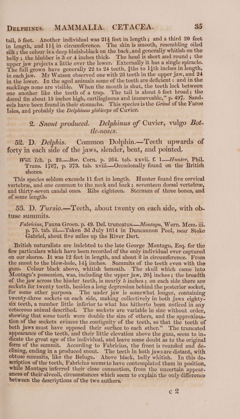 tail, 5 feet. Another individual was 214 feet in length; anda third 20 feet in length, and 114 in circumference. 'The skin is smooth, resembling oiled silk ; the colour isa deep bluish-black on the back, and generally whitish on the belly ; the blubber is 3 or 4 inches thick. The head is short and round ; the upper jaw projects a little over the lower. Externally it has a single spiracle. The full grown have generally 22 to 24 teeth, {ths to 14th inches in length, in each jaw. Mr Watson observed one with 28 teeth in the upper jaw, and 24 in the lower. In the aged animals some of the teeth are deficient :. and in the sucklings none are visible. When the mouth is shut, the teeth lock between one another like the teeth of a trap. The tail is about 5 feet broad; the dorsal fin about 15 inches high, cartilaginous and immoveable,” p. 497. Sand- eels have been found in their stomachs. This species isthe Grind of the Faroe Isles, and probably the Delphinus globiceps of Cuvier. 2. Snout produced. Delphinus of Cuvier, vulgo Bot- ile-noses. 52. D. Delphis. Common Dolphin—Teeth upwards of forty in each side of the jaws, slender, bent, and pointed. Will. fch. p. 28.—Bor. Corn. p. 264. tab. xxvii. f. 1.—Hunter, Phil. Trans. 1787, p. 373. tab. xviiii—Occasionally found on the British shores. This species seldom exceeds 11 feet in length. Hunter found five cervical vertebree, and one common to the neck and back; seventeen dorsal vertebre, and thirty-seven caudal ones. Ribs eighteen. Sternum of three bones, and of some length. 53. D. Tursio.—Teeth, about twenty on each side, with ob- tuse summits. Fabricius, Fauna Groen. p. 49. Del. truncatus.—Montagu, Wern. Mem iii. p- 75. tab. iii—-Taken 3d July 1814 in Duncannon Pool, near Stoke Gabriel, about five miles up the River Dart. British naturalists are indebted to the late George Montagu, Esq. for the few particulars which have been recorded of the only individual ever captured on our shores. It was 12 feet in length, and about 8 in circumference. From the snout to the blow-hole, 143 inches. Summits of the teeth even with the gum. Colour black above, whitish beneath. The skull which came into Montagu’s possession, was, including the upper jaw, 204 inches ; the breadth of the jaw across the hinder teeth, is nearly 5 inches; on each side there are sockets for twenty teeth, besides a long depression behind the posterior socket, for some other purpose. The under jaw is somewhat longer, containing twenty-three sockets on each side, making collectively in both jaws eighty- six teeth, a number little inferior to what has hitherto been noticed in any cetaceous animal described. ‘The sockets are variable in size without order, shewing that some teeth were double the size of others, and the approxima. tion of the sockets evinces the contiguity of the teeth, so that the teeth of both jaws must have opposed their surface to each other.” The truncated appearance of the teeth, and their little elevation above the gum, seem to in- dicate the great age of the individual, and leave some doubt as to the original form of the summit. According to Fabricius, the front is rounded and de- clining, ending in a produced snout. The teeth in both jawsare distant, with obtuse summits, like the Beluga. Above black, belly whitish. In this de- scription of the teeth, Fabricius seems to have contemplated them in position, while Montagu inferred their close connection, from the uncertain appear- _ ances of their alveoli, circumstances which seem to explain the only difference between the descriptions of the two authors. c@