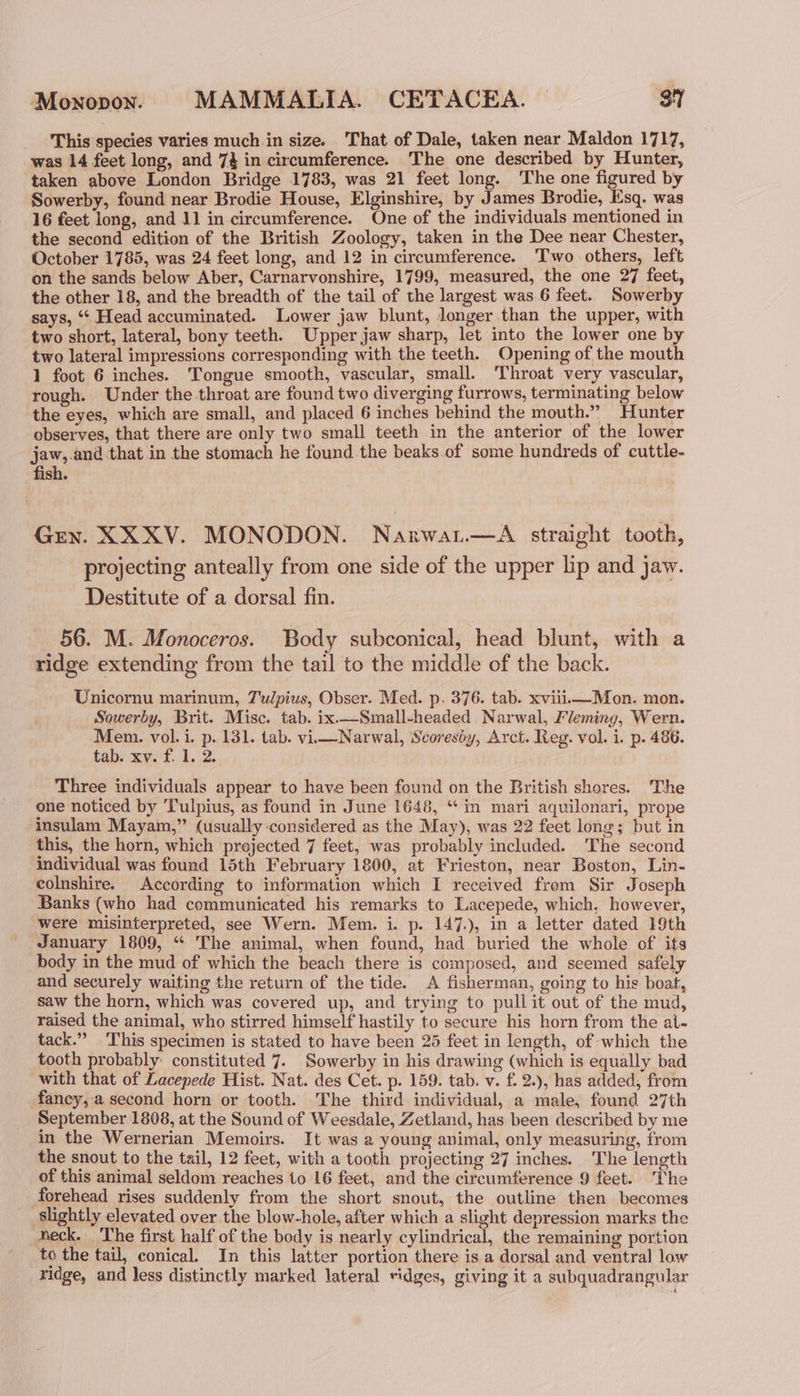 Monopon.e MAMMALIA. CETACEA. 3Y This species varies much in size. That of Dale, taken near Maldon 1717, was 14 feet long, and 74 in circumference. The one described by Hunter, taken above London Bridge 1783, was 21 feet long. ‘The one figured by Sowerby, found near Brodie House, Elginshire, by James Brodie, Esq. was 16 feet long, and 11 in circumference. One of the individuals mentioned in the second edition of the British Zoology, taken in the Dee near Chester, October 1785, was 24 feet long, and 12 in circumference. Two others, left on the sands below Aber, Carnarvonshire, 1799, measured, the one 27 feet, the other 18, and the breadth of the tail of the largest was.6 feet. Sowerby says, ‘‘ Head accuminated. Lower jaw blunt, longer than the upper, with two short, lateral, bony teeth. Upper jaw sharp, let into the lower one by two lateral impressions corresponding with the teeth. Opening of the mouth 1 foot 6 inches. Tongue smooth, vascular, small. Throat very vascular, rough. Under the throat are found two diverging furrows, terminating below the eyes, which are small, and placed 6 inches behind the mouth.” Hunter observes, that there are only two small teeth in the anterior of the lower jaw,.and that in the stomach he found the beaks of some hundreds of cuttle- fish. Gren. XXXV. MONODON. Narwau.—A straight tooth, projecting anteally from one side of the upper lip and jaw. Destitute of a dorsal fin. 56. M. Monoceros. Body subconical, head blunt, with a ridge extending from the tail to the middle of the back. Unicornu marinum, Tudpius, Obser. Med. p, 376. tab. xviii Mon. mon. Sowerby, Brit. Misc. tab. ix.—Small-headed Narwal, Fleming, Wern. Mem. vol. i. p. 131. tab. vi—Narwal, Scoresby, Arct. Reg. vol. i. p. 486. tab. xv. f. 1. 2. Three individuals appear to have been found on the British shores. The one noticed by Tulpius, as found in June 1648, “in mari aquilonari, prope insulam Mayam,” (usually considered as the May), was 22 feet long; but in this, the horn, which projected 7 feet, was probably included. The second individual was found 15th February 1800, at Frieston, near Boston, Lin- colnshire. According to information which I received from Sir Joseph Banks (who had communicated his remarks to Lacepede, which, however, were misinterpreted, see Wern. Mem. i. p. 147.), in a letter dated 19th January 1809, “ The animal, when found, had buried the whole of its body in the mud of which the beach there is composed, and seemed safely and securely waiting the return of the tide. A fisherman, going to his boat, saw the horn, which was covered up, and trying to pull it out of the mud, raised the animal, who stirred himself hastily to secure his horn from the al- tack.” This specimen is stated to have been 25 feet in length, of which the tooth probably: constituted 7. Sowerby in his drawing (which is equally bad with that of Lacepede Hist. Nat. des Cet. p. 159. tab. v. f. 2.), has added, from fancy, a second horn or tooth. The third individual, a male, found 27th September 1808, at the Sound of Weesdale, Zetland, has been described by me in the Wernerian Memoirs. It was a young animal, only measuring, from the snout to the tail, 12 feet, with a tooth projecting 27 inches. The length of this animal seldom reaches 10 16 feet, and the circumference 9 feet. The forehead rises suddenly from the short snout, the outline then becomes slightly elevated over the blow-hole, after which a slight depression marks the neck. The first half of the body is nearly cylindrical, the remaining portion to the tail, conical. In this latter portion there is a dorsal and ventral low ridge, and less distinctly marked lateral ridges, giving it a subquadrangular