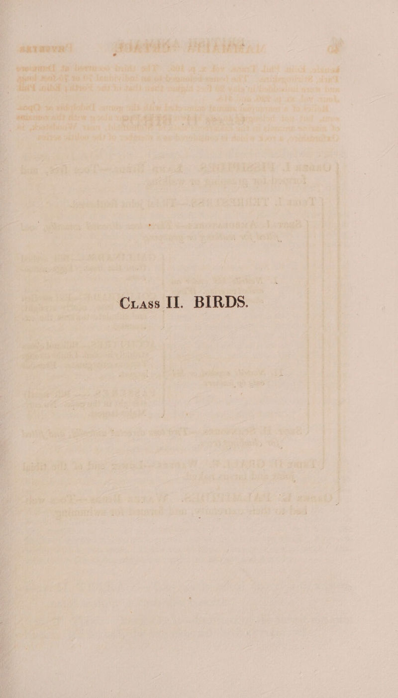 Crass II. BIRDS.