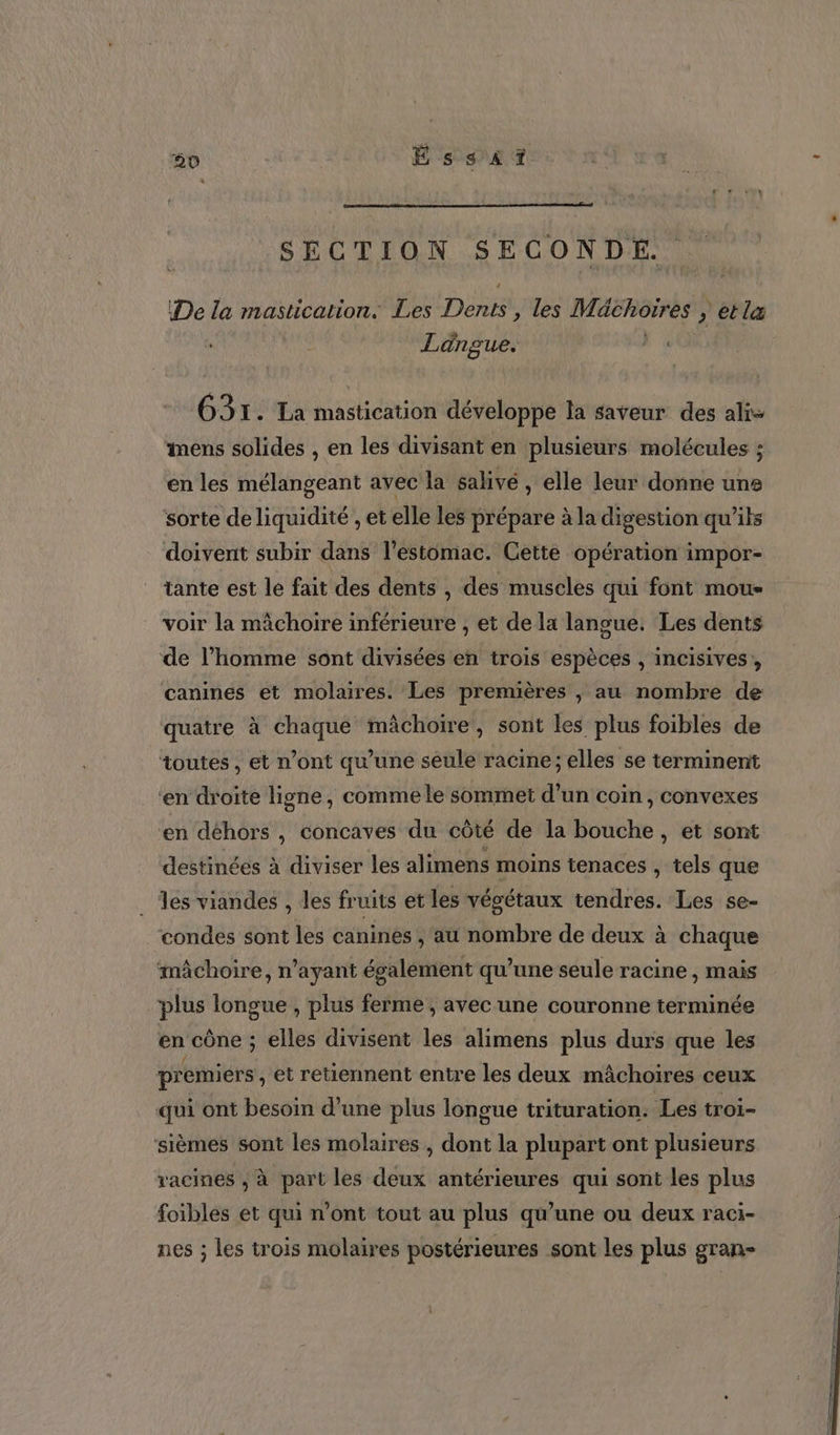 50 É s sat SECTION SECONDE. De la mastication. Les Dents , les Mächoïres | etlæ Langue. G31. La mastication développe la saveur des ali- mens solides , en les divisant en plusieurs molécules ; en les mélangeant avec la salivé, elle leur donne uns sorte de liquidité , et elle les prépare à la digestion qu’ils doivent subir dans l’estomac. Cette opération impor- tante est le fait des dents , des muscles qui font moue voir la mâchoire inférieure , et de la langue. Les dents de l’homme sont divisées en trois espèces , incisives, canines et molaires. Les premières | au nombre de quatre à chaque mâchoire, sont les plus foibles de toutes, et n’ont qu'une seule racine; elles se terminent ‘en droite ligne, comme le sommet d’un coïn , convexes ‘en déhors , concaves du côté de la bouche, et sont destinées à diviser les alimens moins tenaces , tels que _ es viandes , les fruits et les végétaux tendres. Les se- condes sont les canines , au nombre de deux à chaque mâchoire, n'ayant également qu’une seule racine , mais plus longue , plus ferme , avec une couronne terminée en cône ; elles divisent les alimens plus durs que les premiers , et retiennent entre les deux mâchoires ceux qui ont besoin d’une plus longue trituration. Les troi- ‘sièmes sont les molaires , dont la plupart ont plusieurs racines ; à part les deux antérieures qui sont les plus foibles et qui n’ont tout au plus qu’une ou deux raci- nes ; les trois molaires postérieures sont les plus gran-