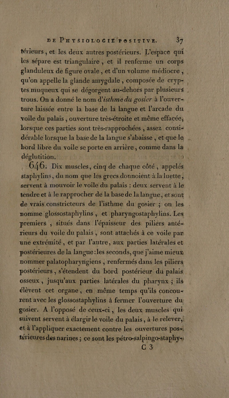 térieurs , et les deux autres postérieurs. L'espace qui les sépare est triangulaire , et il renferme un corps glanduleux de figure ovale , et d’un volume médiocre, | qu’on appelle la glande amygdale , composée de eryp- tes muqueux qui se dégorgent au-dehors par plusieurs | tous. On a donné le nom d’isthme du gosier à Vouver- ture laissée entre la base de la langue et l’arcade du voile du palais , ouverture très-étroite et même effacée, lorsque ces parties sont très-rapprochées , assez consi- dérable lorsque la base de la langue s'abaisse , et que le bord libre du voile se porte en arrière, comme dans la déslutition. | N Je 646. Dix muscles, cinq de chaque côté, appelés staphylins, du nom que lés grecs donnoient à la luette, servent à mouvoir le voile du palais : deux servent à le tendre et à le rapprocher de la base de la langue, et sont de vrais constricteurs de l’isthme du gosier ; on les nomme glossostaphylins ,; et pharyngostaphylins. Les premiers ; Situés dans l'épaisseur des piliers anté- rieurs du voile du palais , sont attachés à ce voile par uné extrémité , et par l’autre, aux BREL latérales et postérieures de la langue :les seconds, que j'aime mieux nommer palatopharyngiens , renfermés dans les piliers postérieurs , s'étendent du bord postérieur du palais osseux, jusqu'aux parties latérales du pharynx ; ils élèvent cet organe, en même temps qu’ils concou- rent avec les glossostaphylins à fermer l’ouverture du gosier. À l’opposé de ceux-ci, les deux muscles qui suivent servent à élargir le voile du palais, à le relever; et à l'appliquer exactement contre les ouvertures pos+| térieures des narines ; ce sont Les pétro-salpingo-staphy+ C 3