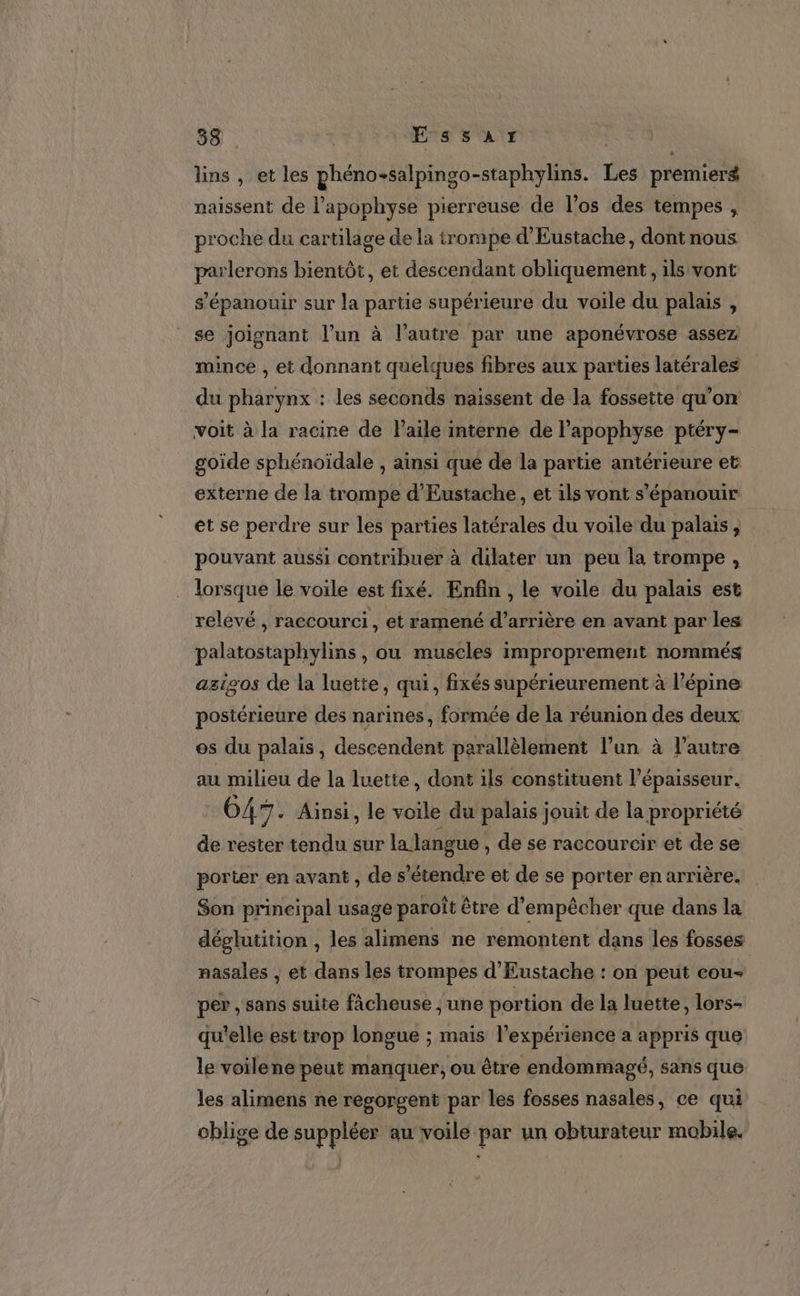 83 . | Éssar lins , et les phéno+salpingo-staphylins. Les premiers naissent de l’apophyse pierreuse de l’os des tempes , proche du cartilage de la trompe d’Eustache, dont nous parlerons bientôt, et descendant obliquement , ils vont s'épanouir sur la partie supérieure du voile du palais , se joignant l’un à l’autre par une aponévrose assez mince , et donnant quelques fibres aux parties latérales du pharynx : les seconds naissent de la fossette qu’on voit à la racine de Paile interne de l’apophyse ptéry- goide sphénoïdale , ainsi qué de la partie antérieure et externe de la trompe d’Eustache, et ils vont s'épanouir et se perdre sur les parties latérales du voile du palais, pouvant aussi contribuer à dilater un peu la trompe , lorsque le voile est fixé. Enfin , le voile du palais est relévé , raccourci, et ramené d’arrière en avant par les palatostaphylins , ou muscles improprement nommés az1s0s de la luette, qui, fixés supérieurement à l’épine postérieure des narines, formée de la réunion des deux os du palais, descendent parallèlement l’un à l’autre au milieu de la luette, dont ils constituent l’épaisseur. 647. Ainsi, le voile du palais jouit de la propriété de rester tendu sur la langue , de se raccourcir et de se porter en avant , de s'étendre et de se porter en arrière. Son principal usage paroît être d'empêcher que dans la déglutition , les alimens ne remontent dans les fosses nasales , et dans les trompes d'Eustache : on peut cou- per , sans suite fâcheuse ; une portion de la luette, lors- qu'elle est trop longue ; mais l’expérience a appris que le voilene peut manquer, ou être endommagé, sans que les alimens ne regorgent par les fosses nasales, ce qui oblige de suppléer au voile par un obturateur mobile. :