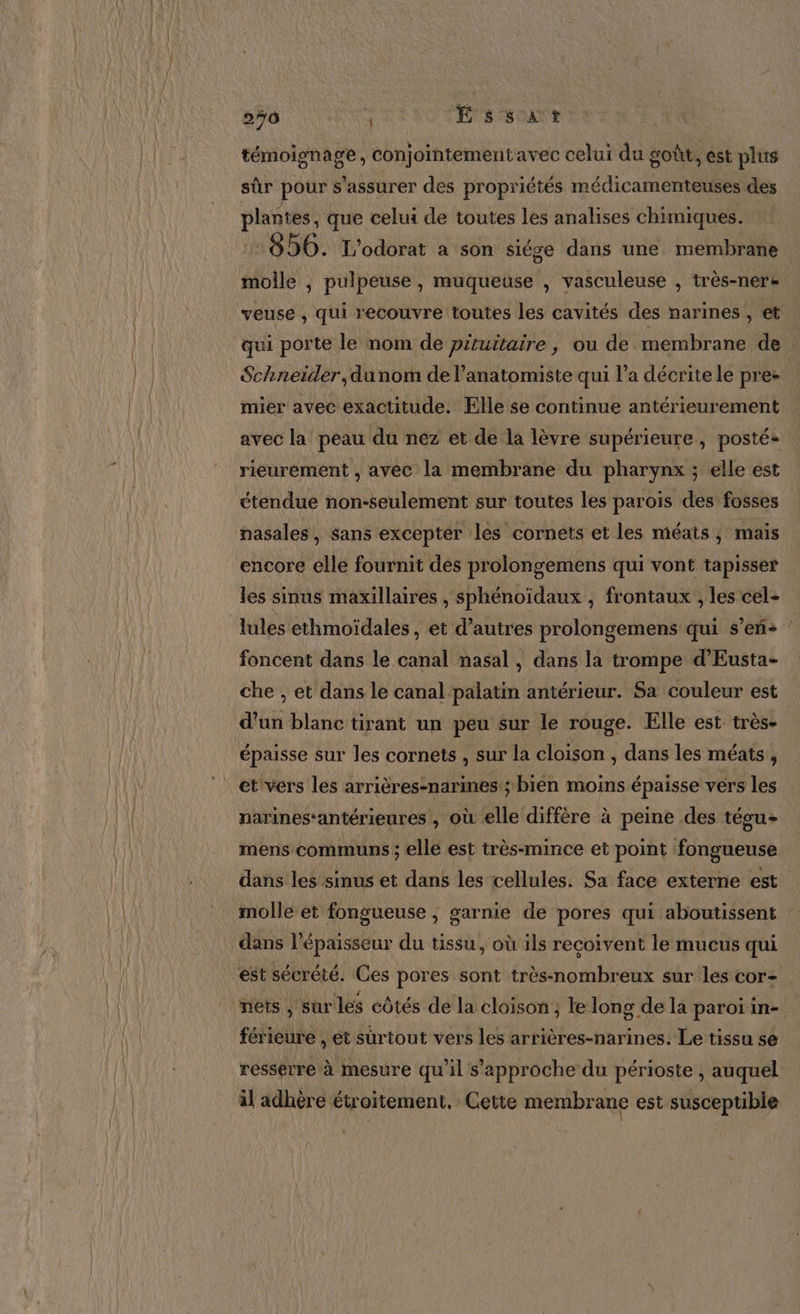 témoignage, conjointementavec celui du goût, est plus sûr pour s'assurer des propriétés médicamenteuses des plantes, que celui de toutes les analises chimiques. 656. L'odorat a son siése dans une membrane molle , pulpeuse, muqueuse , vasculeuse , très-nere qui porte le nom de pituitaire , ou de membrane de Schneider, dunom de l’anatomiste qui l’a décrite le pre mier avec exactitude. Elle se continue antérieurement avec la peau du nez et de la lèvre supérieure, posté- rieurement , avec la membrane du pharynx ; elle est étendue non-seulement sur toutes les paroïs des fosses nasales, sans excepter les cornets et les méats, mais encore elle fournit des prolongemens qui vont tapisser les sinus maxillaires , sphénoïdaux , frontaux , les cel- foncent dans le canal nasal, dans la trompe d’Eusta- che , et dans le canal palatin antérieur. Sa couleur est d’un blanc tirant un peu sur le rouge. Elle est très- épaisse sur les cornets , sur la cloison , dans les méats , narines-antérieures , où elle diffère à peine .des tégu+ mens communs ; elle est très-mince et point fongueuse dans les sinus et dans les cellules. Sa face externe est molle et fongueuse , garnie de pores qui aboutissent dans l'épaisseur du tissu, où ils recoivent le mucus qui mets , sur les côtés de la cloison; le long de la paroi in- férieure , et surtout vers les arrières-narines. Le tissu se resserre à mesure qu’il s'approche du périoste , auquel il adhère étroitement, Cette membrane est susceptible