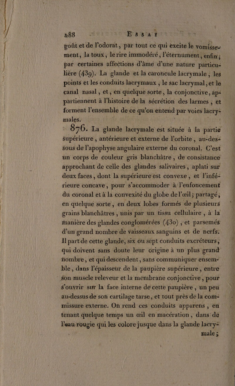 goût et de l’odorat, par tout ce qui excite le vomisse- ment, la toux, le rire immodéré, l’éternument , enfin ; ; par certaines affections d'âme d’une nature particu&lt; lière (439). La glande et la caroncule lacrymale , les points et les conduits lacrymaux , Le sac lacrymal, et le canal nasal , et; en quelque sorte, la conjonctive, ap&lt; partiennent à l’histoire de la sécrétion des larmes , et forment l’ensemble de ce qu’on entend « voies HE reg : 876. La glande tuba est située à la partie supérieure , antérieure et externe de l'orbite, au-des: sous de l’apophyse angulaire externe du coronal. C’est un corps de couleur gris blanchätre , de consistance approchant de celle des glandes salivaires, aplati sur deux faces , dont la supérieureest convexe , et l'infé- rieure concave, pour s’'accommoder à l’enfoncement du coronal et à la convexité du globe de l'œil ; partagé, en quelque sorte, en deux lobes formés de plusieurs grains blanchâtres , unis par un tissu cellulaire , à la manière des glandes conglomérées (430) ; et parsemés d’un grand nombre de vaisseaux sanguins et de nerfs: Il part de cette glande, six ou sept conduits excréteurs, qui doivent sans doute leur origine à un plus grand ñombre , et qui descendent, sans communiquer ensem- ble, dans l'épaisseur de la paupière supérieure , entre ouvrir sur la face interne dé cette paupière , un peu au-dessus de son cartilage tarse, et tout près dé la com- missure externe. On rend ces conduits apparens , en tenant quelque temps un oœil en macération , dans dé l'eau rougie qui les colore jusque dans la glande lacry- male ;