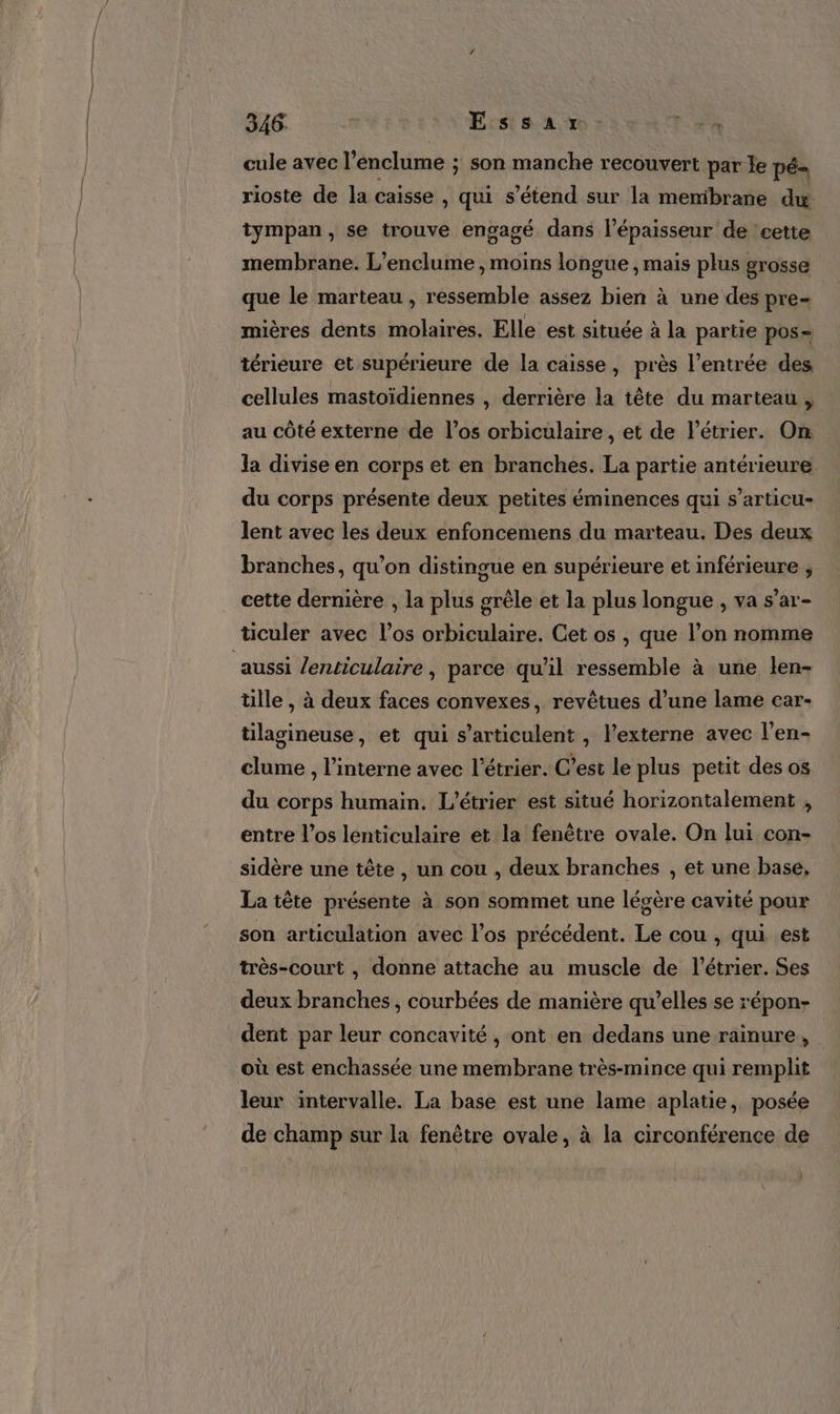 cule avec l’enclume ; son manche recouvert par le pé= rioste de la caisse , qui s'étend sur la menibrane dw tympan, se trouve engagé dans l’épaisseur de ‘cette membrane. L’enclume , moins longue , mais plus grosse que le marteau , ressemble assez bien à une des pre- mières dents molaires. Elle est située à la partie pos= térieure et supérieure de la caisse, près l'entrée des cellules mastoïdiennes , derrière la tête du marteau , au côté externe de los orbiculaire , et de l’étrier. On la divise en corps et en branches. La partie antérieure. du corps présente deux petites éminences qui s’articu- lent avec les deux enfoncemens du marteau. Des deux branches, qu’on distingue en supérieure et inférieure ;, cette dernière , la plus grêle et la plus longue , va s’ar- ticuler avec l'os orbiculaire. Cet os , que l’on nomme aussi lenticulaire , parce qu'il ressemble à une len- tille , à deux faces convexes, revêtues d’une lame car- tilagineuse, et qui s’articulent , l’externe avec l’en- clume , l’interne avec l’étrier. C’est le plus petit des os du corps humain. L’étrier est situé horizontalement , entre l’os lenticulaire et la fenêtre ovale. On lui con- sidère une tête, un cou , deux branches , et une base, La tête présente à son sommet une légère cavité pour son articulation avec l'os précédent. Le cou , qui est très-court , donne attache au muscle de l’étrier. Ses deux branches, courbées de manière qu’elles se répon- dent par leur concavité, ont en dedans une rainure, | où est enchassée une membrane très-mince qui remplit leur intervalle. La base est une lame aplatie, posée de champ sur la fenêtre ovale, à la circonférence de )