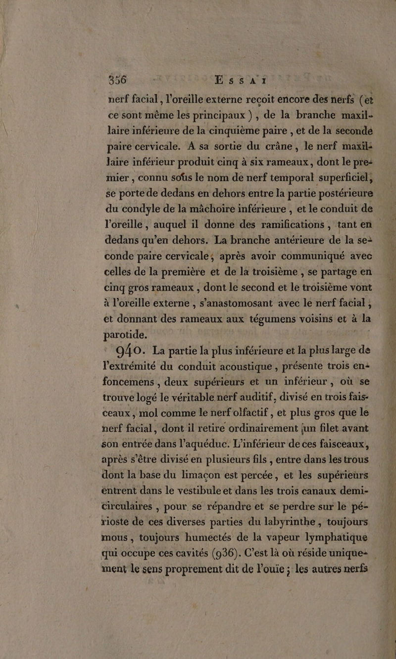 nerf facial, l'oreille externe recoit encore des nerfs ( et ce sont même les principaux ) , de la branche maxil- laire inférieure de la cinquième paire , et de la seconde paire cervicale. À sa sortie du crâne, le nerf maxil: laire inférieur produit cinq à six rameaux, dont le pre: mier , connu soûs le nom de nerf temporal superficiel, se porte de dedans en dehors entre la partie postérieure du condyle de la mâchoire inférieure , et le conduit de l'oreille , auquel il donne des ramifications , tant en dedans qu’en dehors. La branche antérieure de la se: conde paire cervicale; après avoir communiqué avec celles de la première et de la troisième , se partage en cinq gros rameaux , dont le second et le troisième vont à l’oreille externe , s’anastomosant avec le nerf facial , et donnant des rameaux aux tégumens voisins et à la parotide. AS 940. La partie la plus inférieure et la plus large de l'extrémité du conduit acoustique , présente trois en+ foncemens , deux supérieurs et un inférieur, où se trouve logé le véritable nerf auditif, divisé en trois fais- ceaux, mol comme le nerf olfactif , et plus gros que le nerf facial , dont il retire ordinairement jun filet avant son entrée dans l’aquéduc. L’inférieur de ces faisceaux, après s'être divisé en plusieurs fils , entre dans les trous dont la base du limaçon est percée, et les supérieurs entrent dans le vestibule et dans les troïs canaux demi- circulaires , pour se répandre et se perdre sur le pé- rioste de ces diverses parties du labyrinthe , toujours mous , toujours huméctés de la vapeur lymphatique qui occupe ces cavités (936). C’est là où réside uniquez ment le sens proprement dit de l’ouie ; les autres nerfs