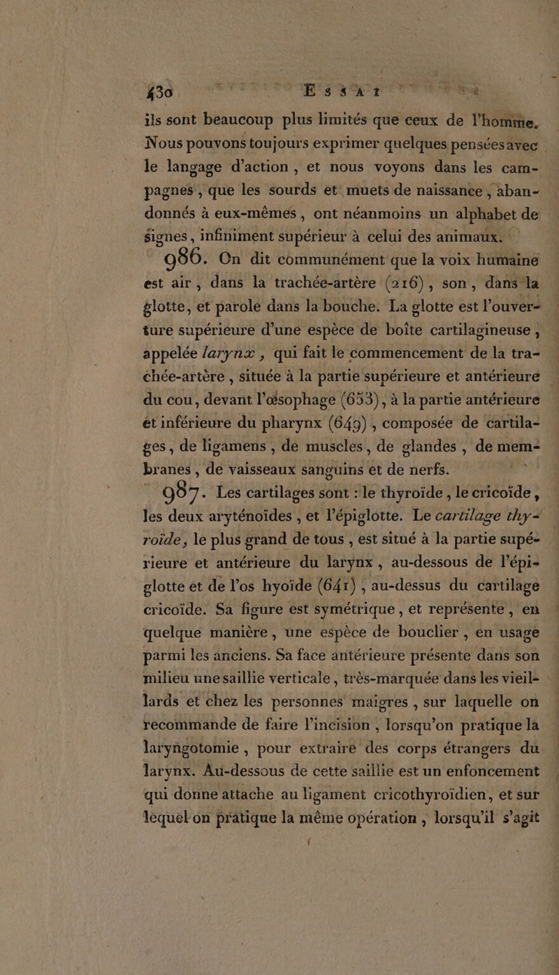 ils sont beaucoup plus limités que ceux de l’homme, le langage d’action , et nous voyons dans les cam- pagnes , que les sourds et muets de naissance , aban- donnés à eux-mêmes, ont néanmoins un alphabet de signes , infiniment supérieur à celui des animaux. “966. On dit communément que la voix humaine est air, dans la trachée-artère (216), son, dans la glotte, et parole dans la bouche. La glotte est l ouver= ture supérieure d’une espèce de boîte cartilagineuse , appelée larynx , qui fait le commencement de la tra- chée-artère , située à la partie supérieure et antérieuré du cou, devant l’œsophage (653), à la partie antérieure et inférieure du pharynx (649), composée de cartila- ges, de ligamens , dé muscles, de glandes , de mem- br anes , dé vaisseaux sanguins €t dé nerfs. 987. Les cartilages sont : le thyroïde , le cricoïde, les deux aryténoïdes , et l’épiglotte. Le cartilage thy- roide, le plus grand de tous , est situé à la partie supé- rieure et antérieure du larynx , au-dessous de l’épi- glotte et de l’os hyoïde (641) , au-dessus du cartilage cricoïde. Sa figure est symétrique , et représente, en quelque manière, une espèce de bouclier , en usage parmi les anciens. Sa face antérieure présente dans son lards et chez les personnes maigres , sur laquelle on recommande de faire lincision , lorsqu'on pratique la laryngotomie , pour extrairé des corps étrangers du larynx. Au-dessous de cette saillie est un enfoncement qui donne attache au ligament cricothyroïdien, et sur léquel on pratique la même opération , lorsqu'il s’agit f f