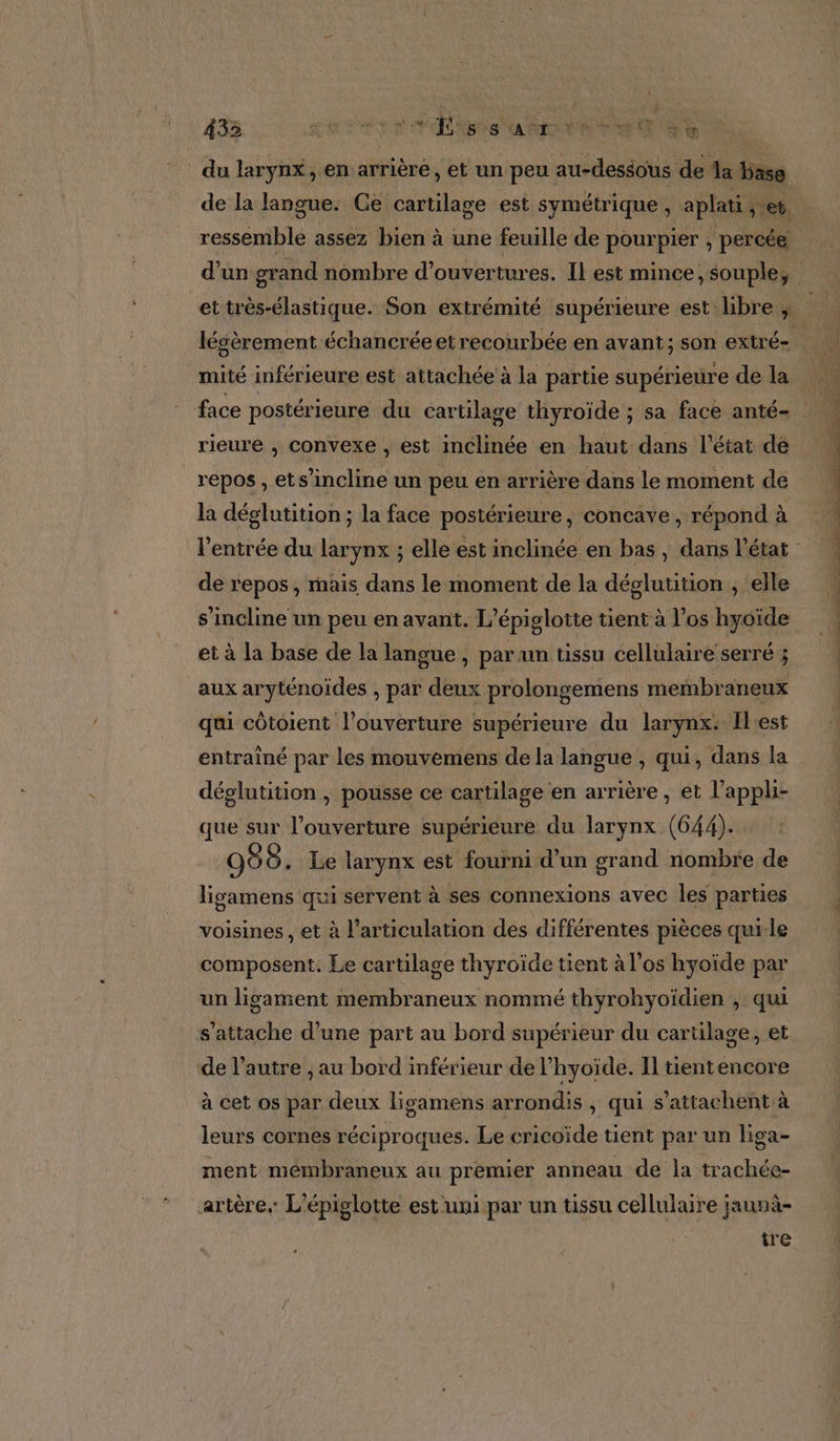 4335 SAN ENS 8 A EU BE QT du larynx, en arrière, et un peu au-dessous de 1a base ressemble assez bien à une feuille de pourpier , percée mité inférieure est attachée à la partie supérieure de la rieure , convexe , est inclinée en haut dans l’état de la déglutition ; la face postérieure, concave, répond à de repos, mais dans le moment de la déglutition ; elle s'incline un peu en avant. L’épiglotte tient à los hyoïde et à la base de la langue, par un tissu cellulaire serré ; aux aryténoides , par deux prolongemens membraneux qui côtoient l’ouverture supérieure du larynx: Îl'est déglutition , pousse ce cartilage en arrière, et l’appli- que sur l'ouverture supérieure du larynx (644). : 958. Le larynx est fourni d’un grand nombre de ligamens qui servent à ses connexions avec les parties voisines , et à l'articulation des différentes pièces quile composent. Le cartilage thyroïde tient à l'os hyoïde par un ligament membraneux nommé thyrohyoïdien ; qui s'attache d’une part au bord supérieur du cartilage, et de l’autre , au bord inférieur de l’hyoïde. Il tientencore à cet os par deux ligamens arrondis, qui s’attachent à leurs cornes réciproques. Le cricoïde tient par un liga- ment membraneux au premier anneau de la trachée- artère. L’épiglotte est uni par un tissu cellulaire jaunà- tre