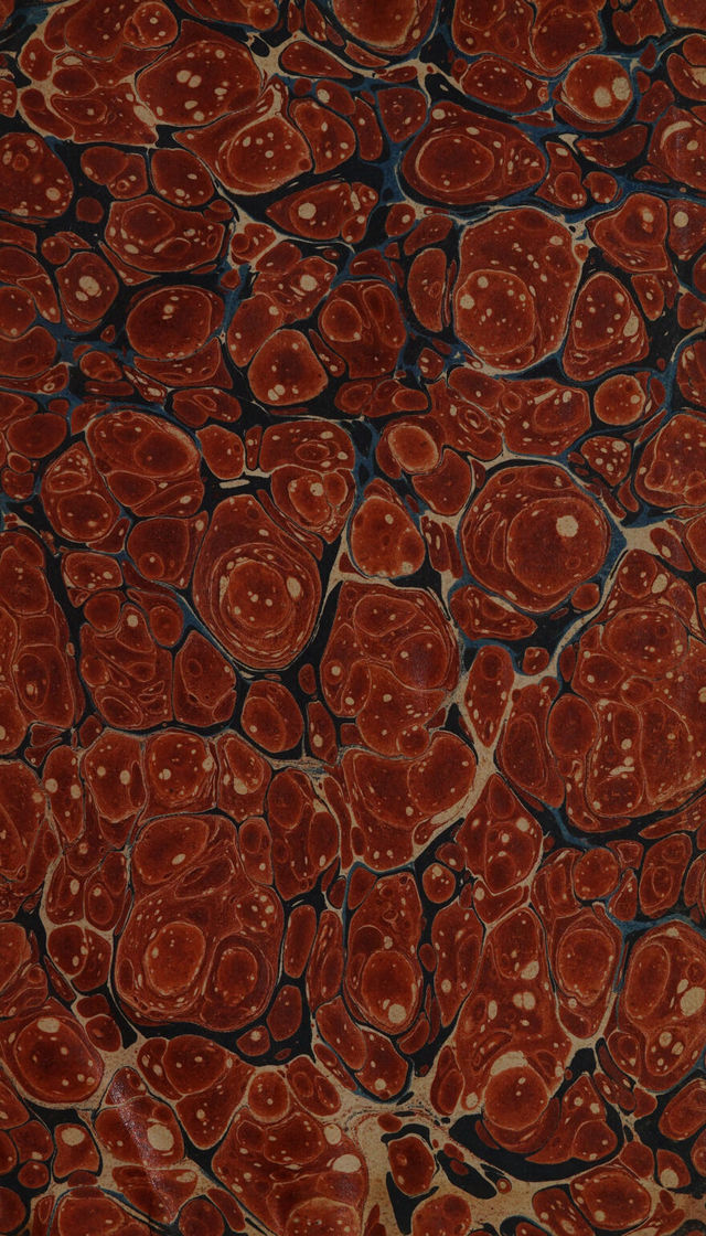 digitised image 3