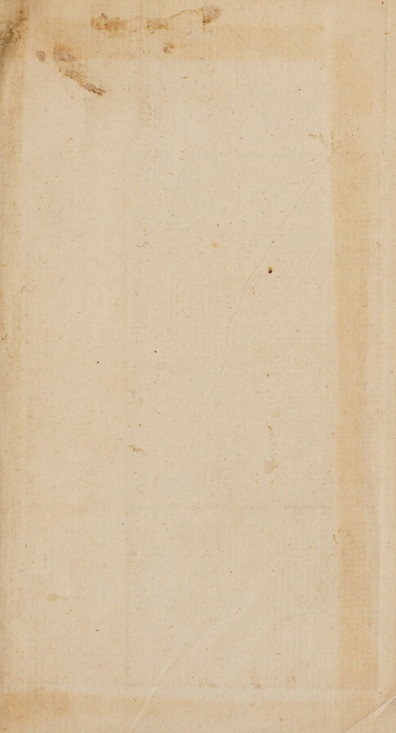 ae | a a rat = tet a we Mig Nee a 35 ¢ he ts a