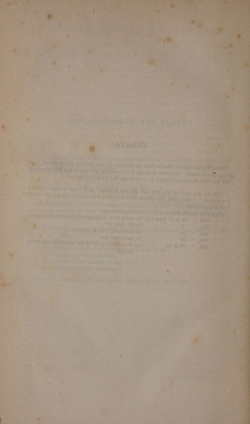 i Bi Shs f RAS bleak ane ~ SM nat * ey Poo Pie ts ate py > DN et ee