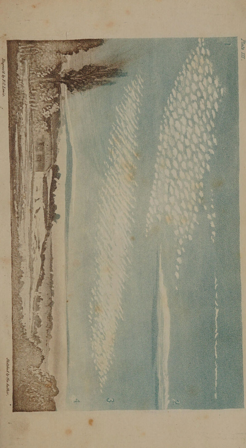 ’ If BeAr ¥ “Sremd a AW