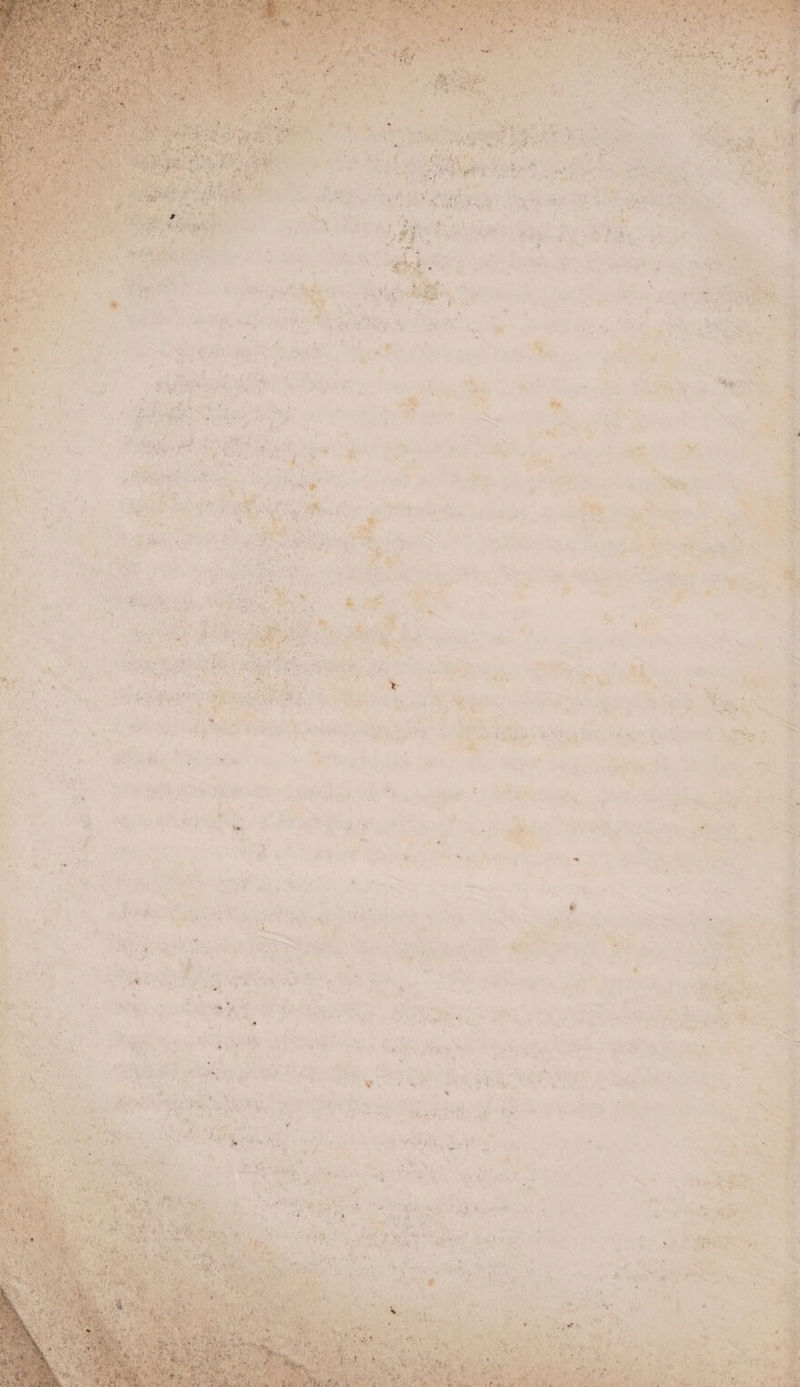 _ } of eet . a a af 4 er é Zap t ff a <vr