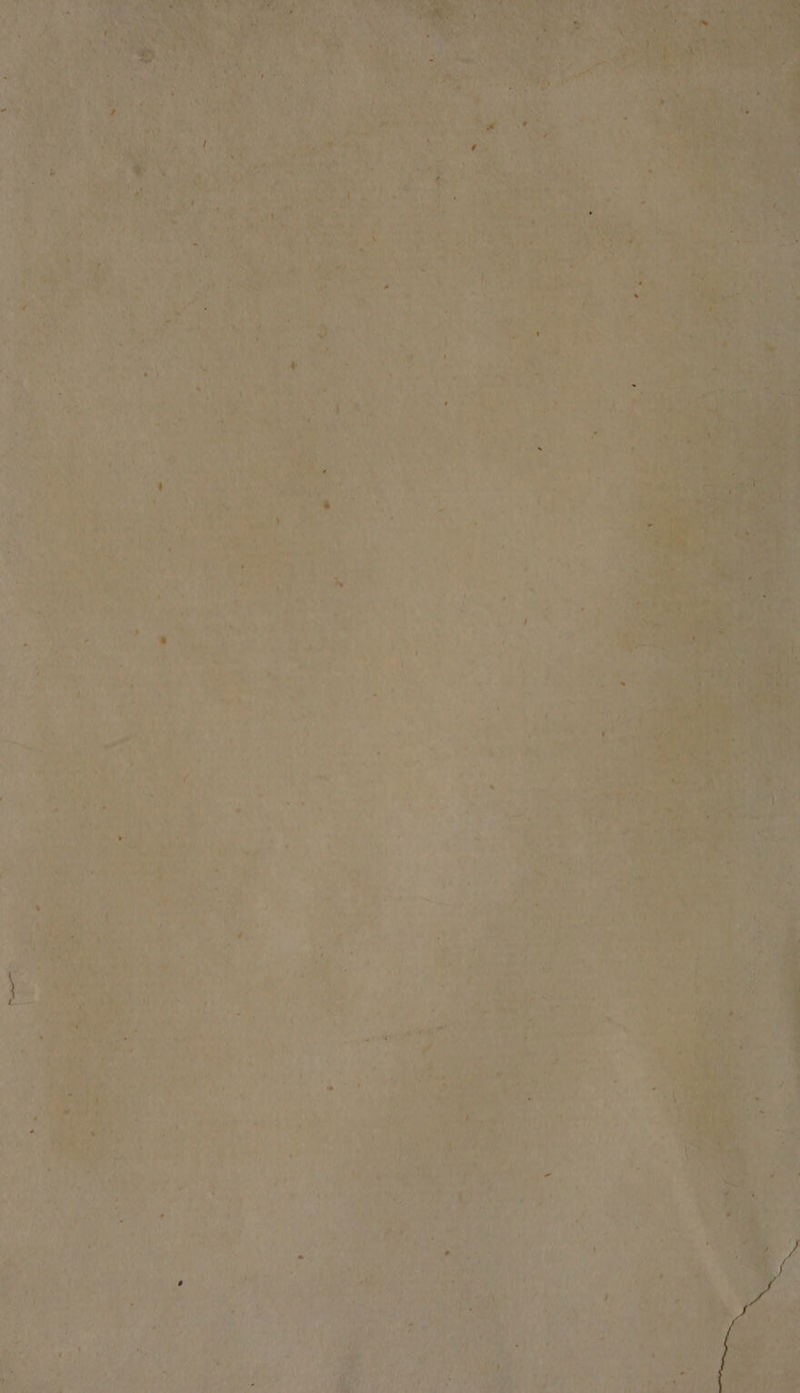 a 2% a Mi he \ hr) 5 ae of \ ae wf Lab . A Wp tee ye mt 6 ye, TAN ee fe ' ee ale ¢ a: 7,