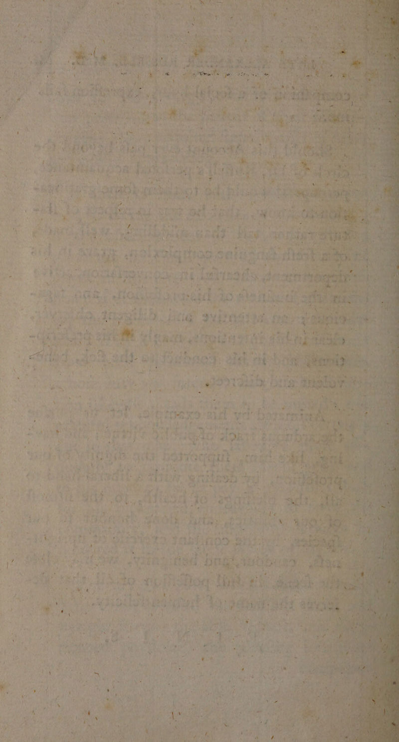 « 4 Ae * ve ty Vig ek S aoa iy 4 f so ‘few Ce <2} ae bs fy nye ww ¥ a £ iy ’ Mh as eal led shake Hin atic Han ida ows . . % araieees é ack { erase Ma x > FT3C cpp WP BAEL Se REA ago f« bg a « A