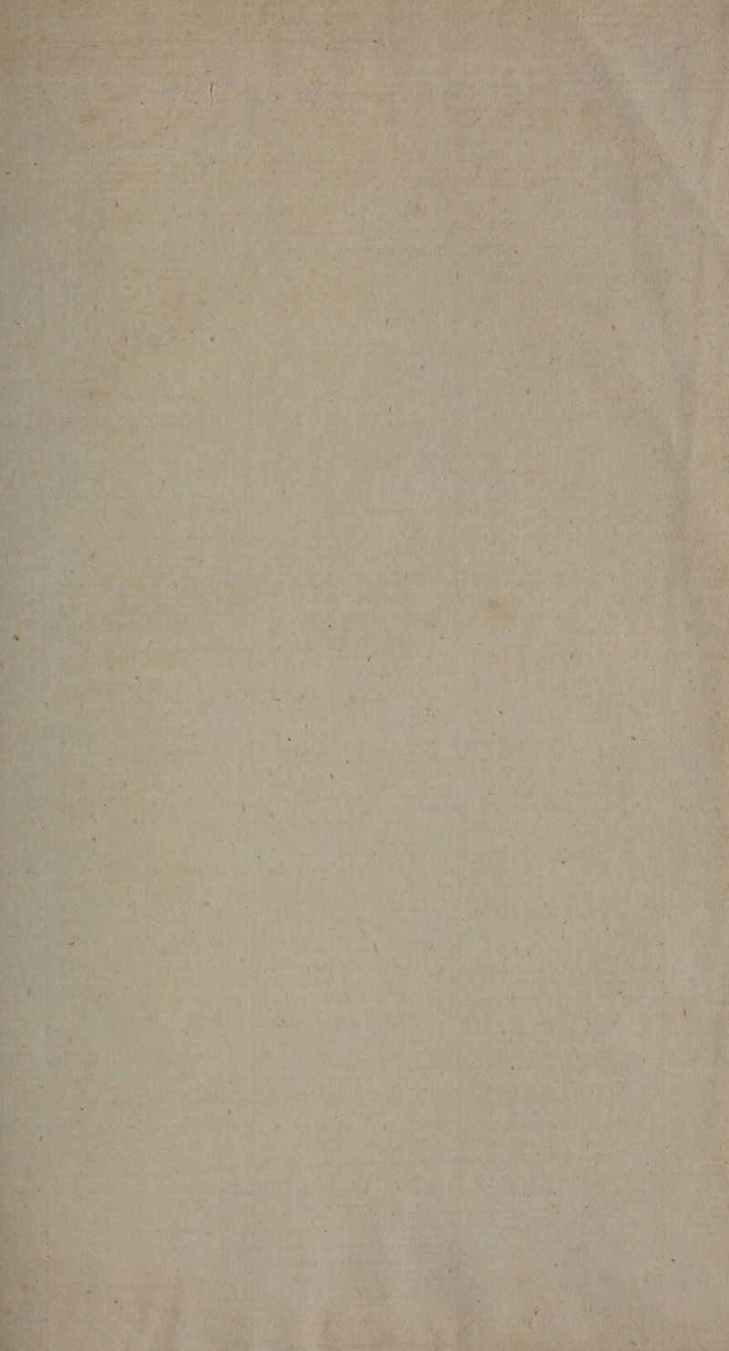 me Rye ite! A aks al \