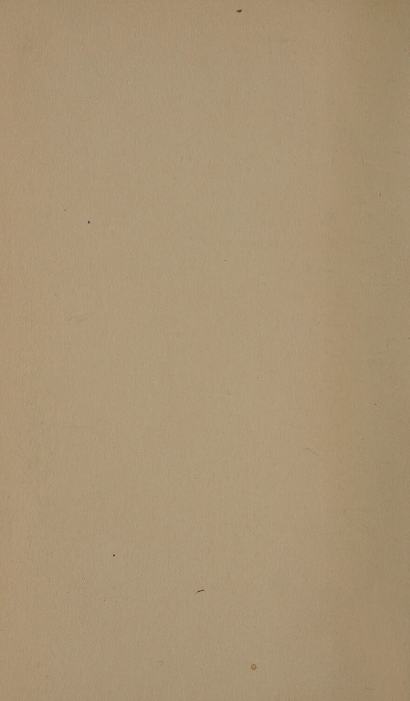 neh wee ML a) é ey \ il M iy vel Ney De Tt i AU \ Base hh D Phat Bi ay be Mya Ha ; enw Py as, ALD Pan, fo Tv } fi AAR ita, z AUT fe Wh ya My, i NS ALA AU i ai ; i ( y ai AY me tite :¥ eee wih j f LRA AS LA 4 ‘f A ' ' AY De TV eae ; ‘4 bata ; 1 ae ti : PUL UAN A MN Ab iit EAD, aa 4 bit eey Dee: idly y) Ma plein Ate i” SPUR ey ea CAE Ae CeO He Saya Pe ate eat. me ee RA Ue it ait) ion i pees it %; eee Ay Me) wy i