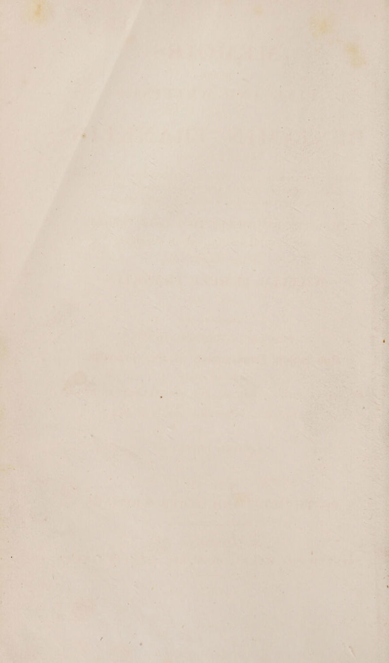 ag sn i eh ot ey is : any a by ¢ . cay ie} i)