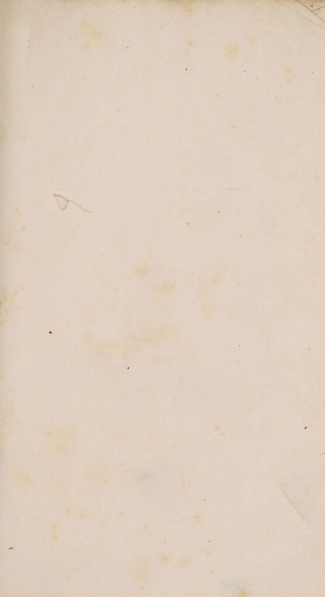 digitised image 3