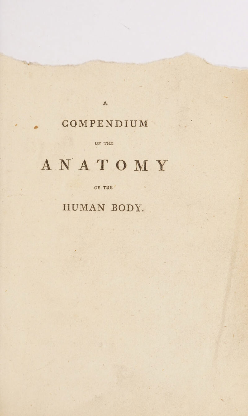 . COMPENDIUM OF THE ANATOMY OF THE HUMAN BODY.