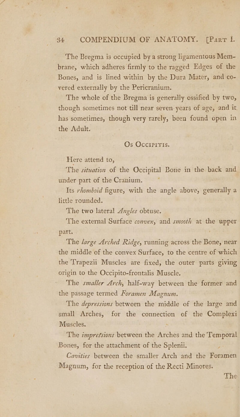 The Bregma is occupied by a strong ligamentous Mem- brane, which adheres firmly to the ragged Edges of the Bones, and is lined within by the Dura Mater, and co- vered externally by the Pericranium. The whole of the Bregma is generally ossified by ave: though sometimes not till near seven: years of age, and it has sometimes, though very rarely, been found open in the Adult. Os OccIPITIs. Here attend to, The situation of the Occipital Bone in the back and under part of the Cranium. Its rhomboid figure, with the angle above, generally a little rounded. The two lateral Angles obtuse. The external Surface convex, and smooth at the upper part. © The large Arched Rideé, running across the Bone, near the middle of the convex Surface, to the centre of which the Trapezii Muscles are fixed, the outer parts giving origin to the Occipito-frontalis Muscle. The smaller Arch, half-way between the former and the passage termed Foramen Magnum. The depressions between the middle of the large and small Arches, for the connection of the Complexi Muscles. The impressions between the Arches and the Temporal Bones, for the attachment of the Splenii. PL Cavities between the smaller Arch and the Foramen Magnum, for the reception of the Recti Minores.