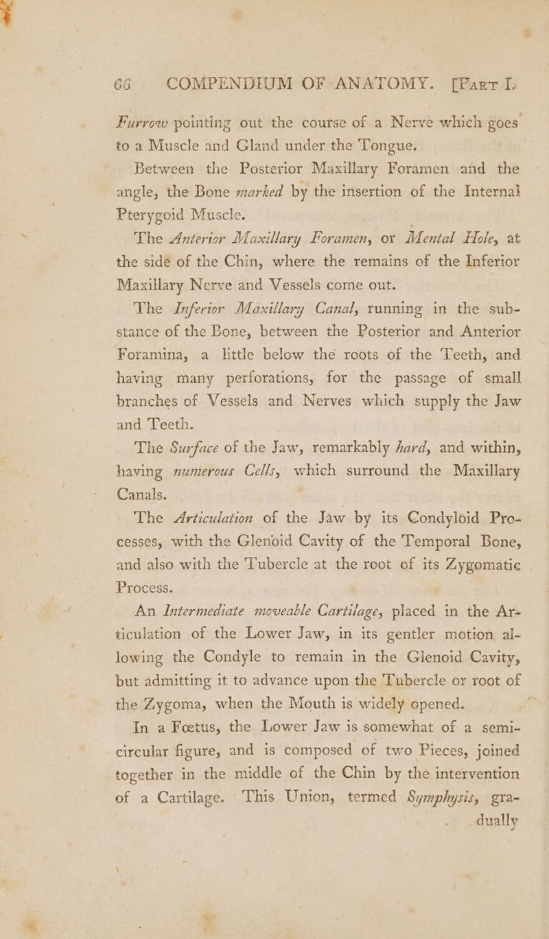 Furrow pointing out the course of a Nerve which goes to a Muscle and Gland under the ‘Tongue. Between the Posterior Maxillary Foramen and the angle, the Bone marked by the insertion of the Interna} Pterygoid Muscle. The Anterior Maxillary Foramen, or Mental Hole, at the side of the Chin, where the remains of the Inferior Maxillary Nerve and Vessels come out. The Inferior Maxillary Canal, running in the sub- stance of the Bone, between the Posterior and Anterior Foramina, a little below the roots of the Teeth, and having many perforations, for the passage of small branches of Vessels and Nerves which supply the Jaw and Teeth. The Surface of the Jaw, remarkably hard, and within, having numerous Cells, which surround the Maxillary Canals. The Articulation of the Jaw by its Condyloid Pro- cesses, with the Glenoid Cavity of the Temporal Bone, and also with the Tubercle at the root of its Zygomatic Process. : An Intermediate moveable Cartilage, placed in the Ar» ticulation of the Lower Jaw, in its gentler motion al- lowing the Condyle to remain in the Gienoid Cavity, but admitting it to advance upon the Tubercle or root of the Zygoma, when the Mouth is widely opened. In a Foetus, the Lower Jaw is somewhat of a semi- circular figure, and is composed of two Pieces, joined together in the middle of the Chin by the intervention of a Cartilage. This Union, termed Symphysis, gra- dually ed