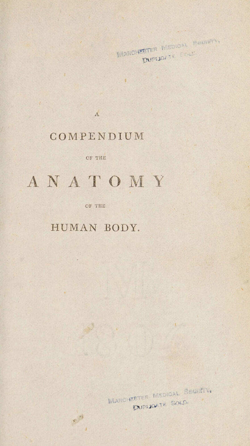 COMPENDIUM OF THE ANATOMY OF THE HUMAN BODY. Le | { ee bi ae ; SOLE