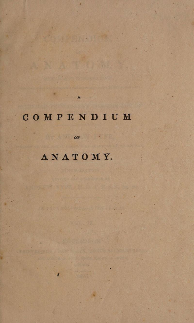 A COMPENDIUM ANATOMY.